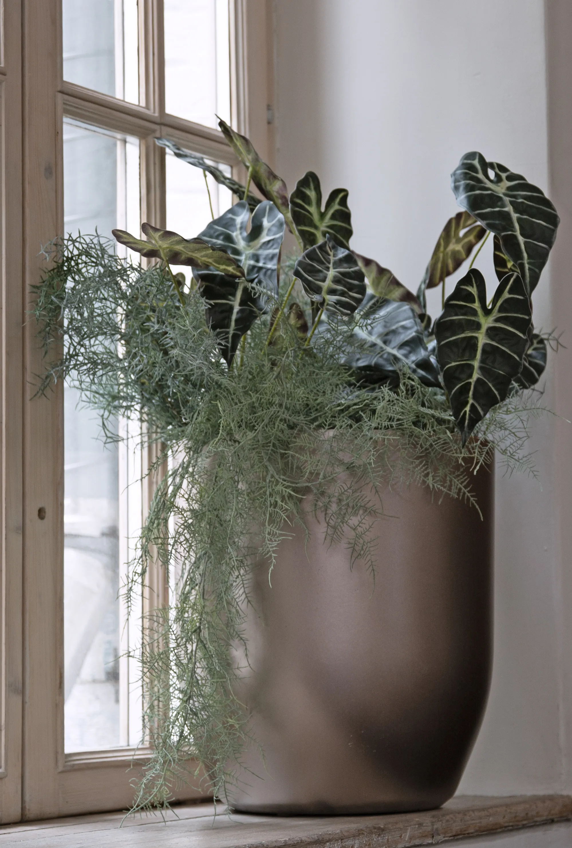 yar 40x44 champagne 2025