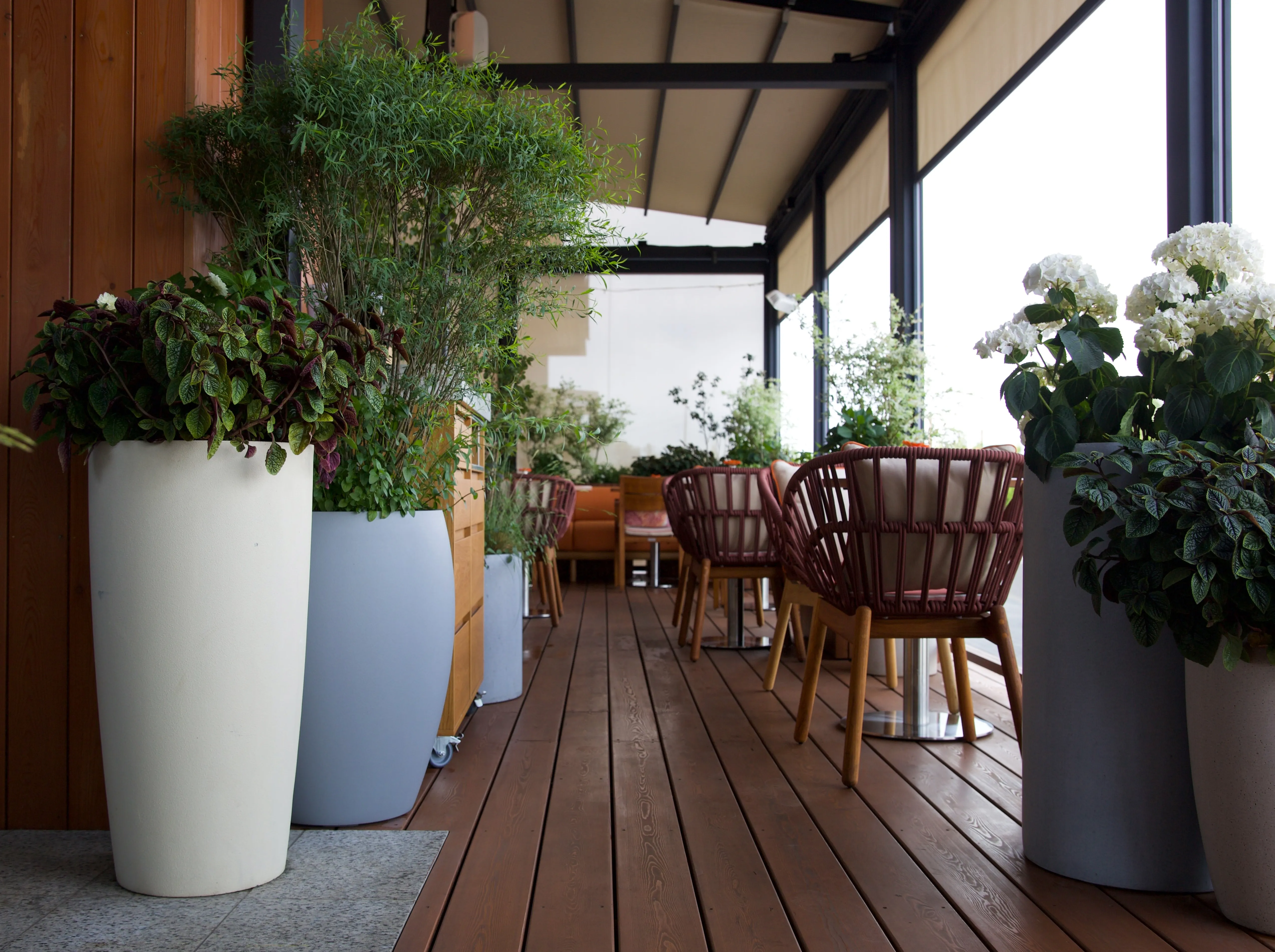 conus 30x55 sahara 2025