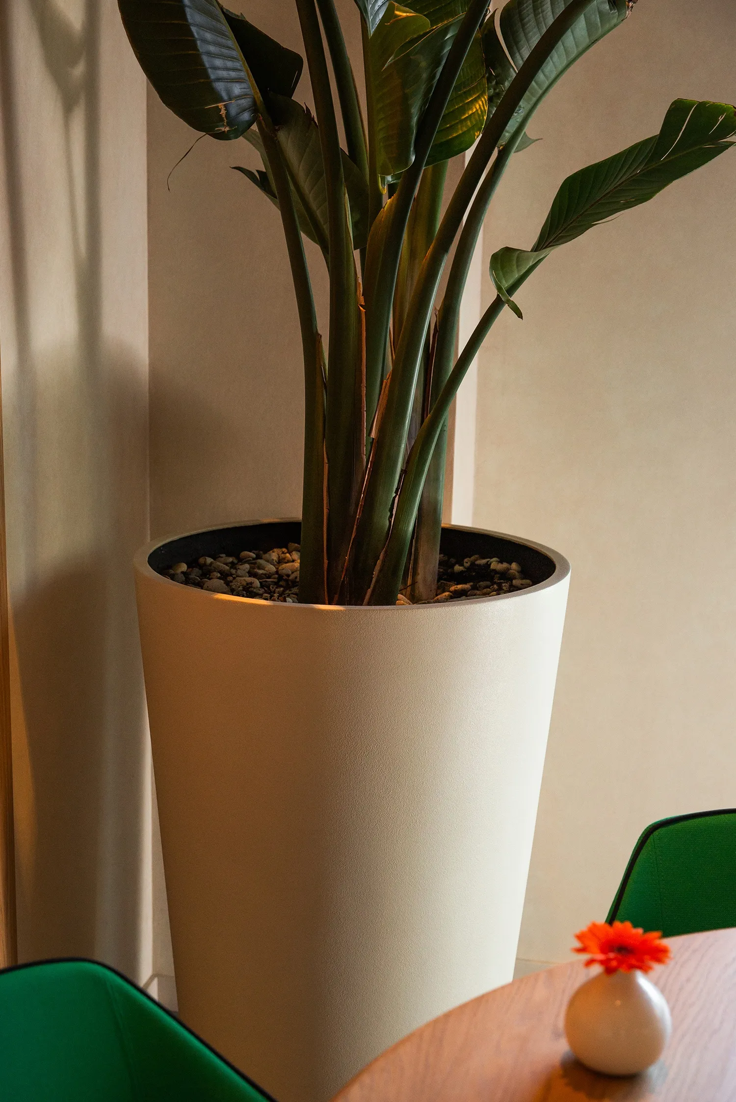 crater 60x90 sahara 2021