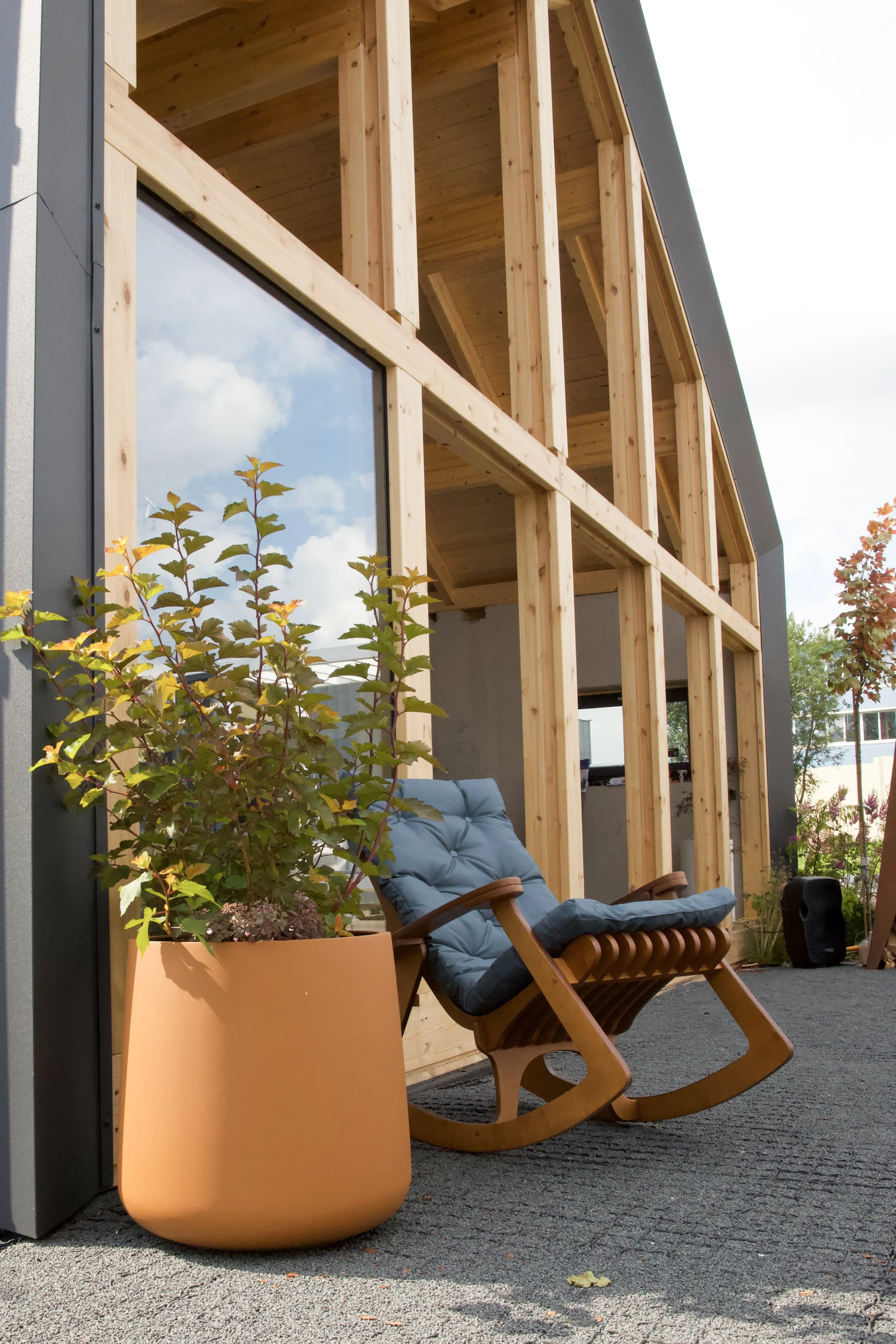 cone 50x54 carrot 2025