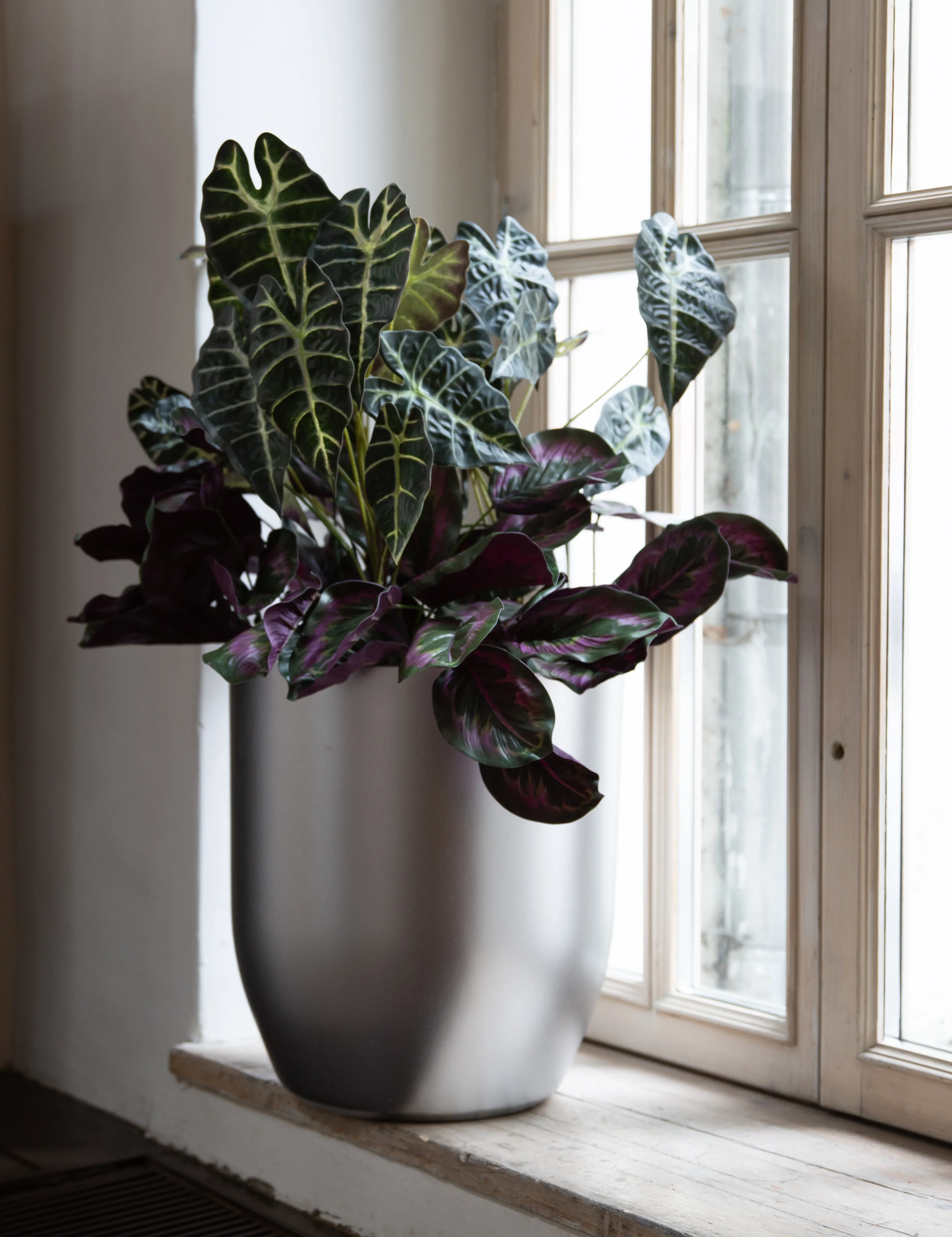 yar 40x44 silver 2025