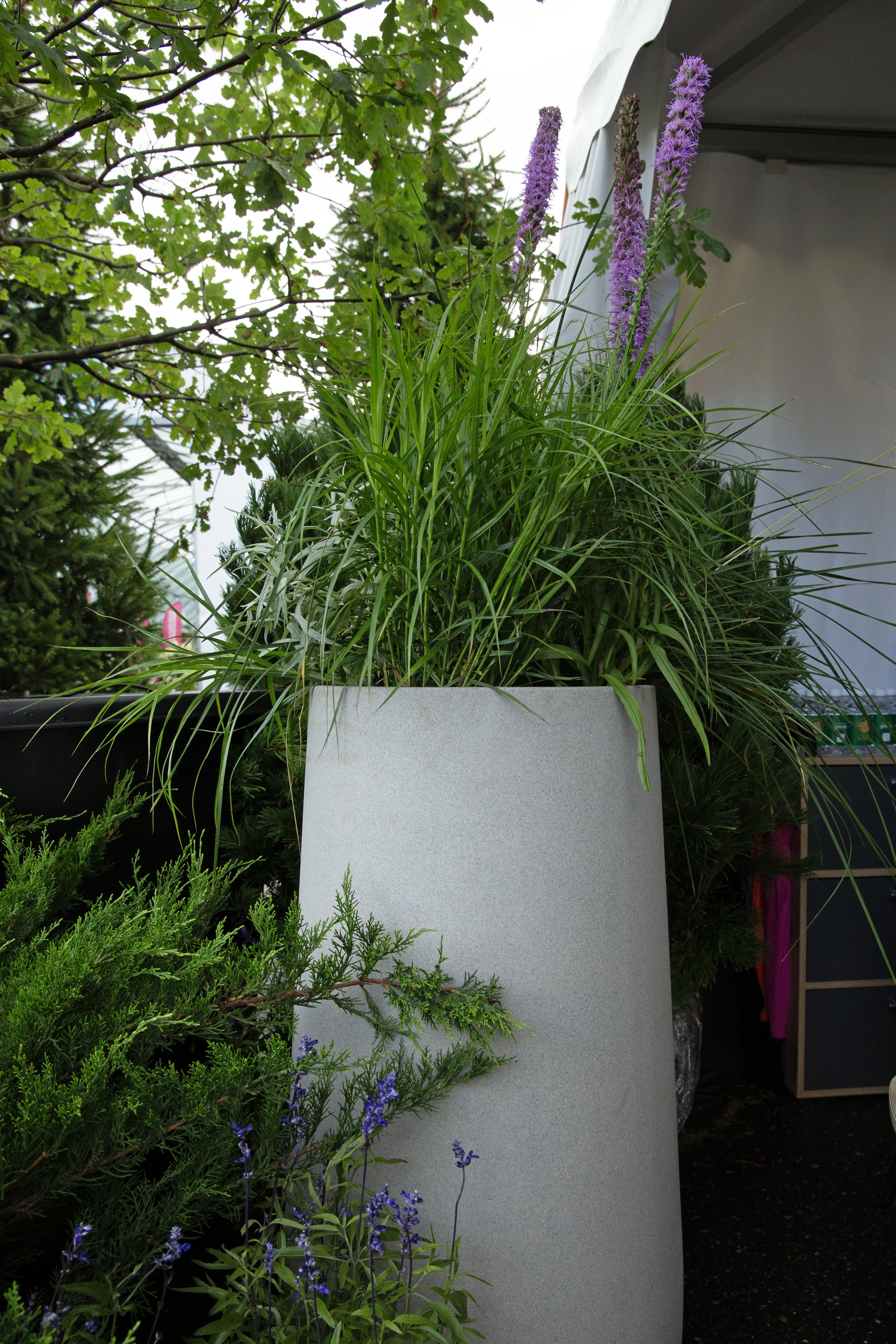 moda 28x75 cool grey 2025