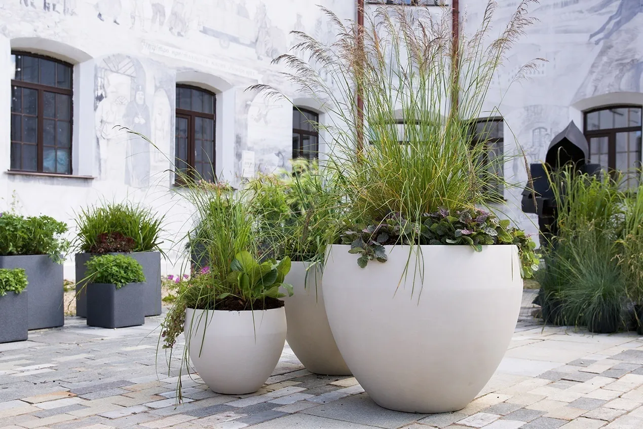 гира 70x60 дюна 2025