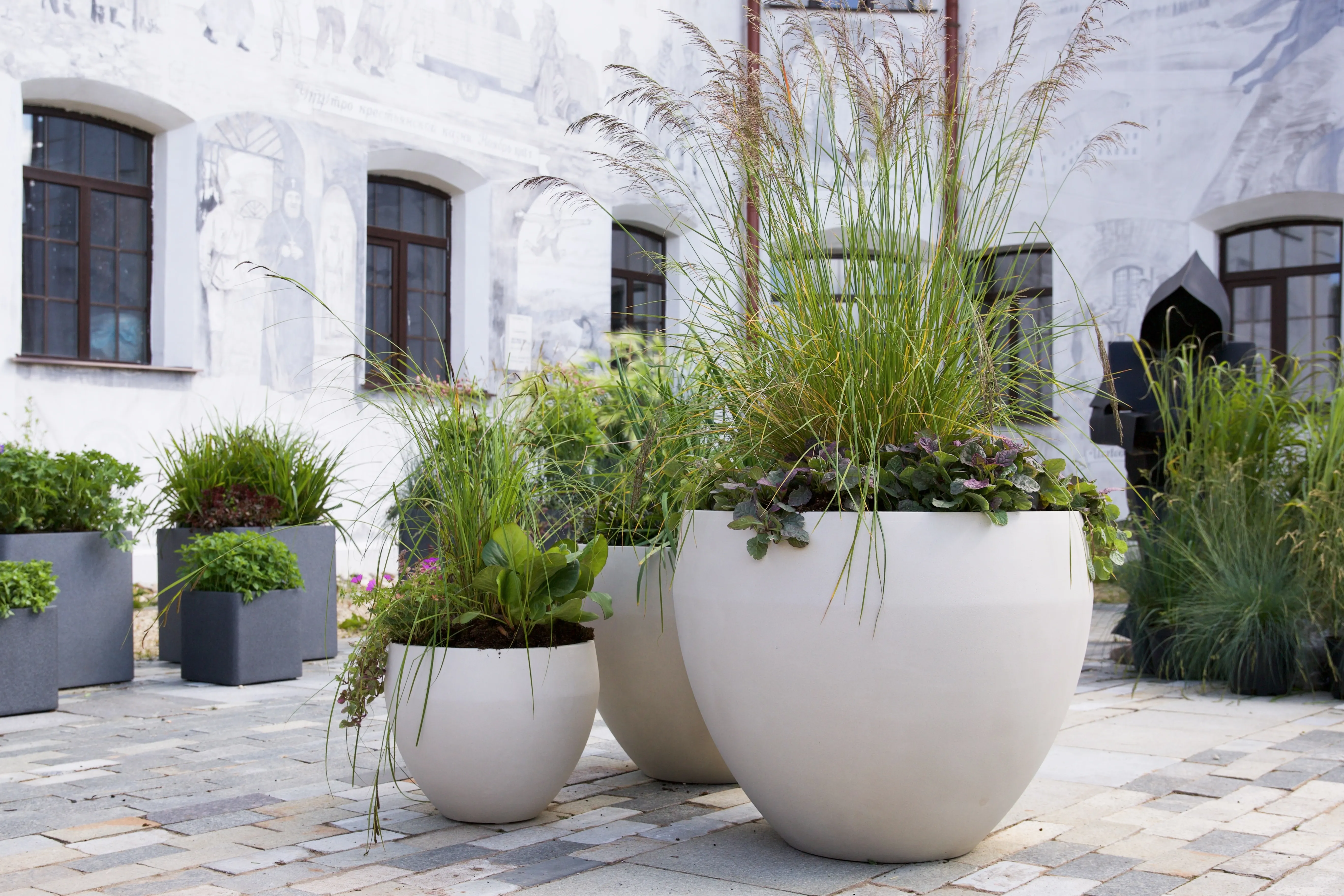 giro 70x60 dune 2025