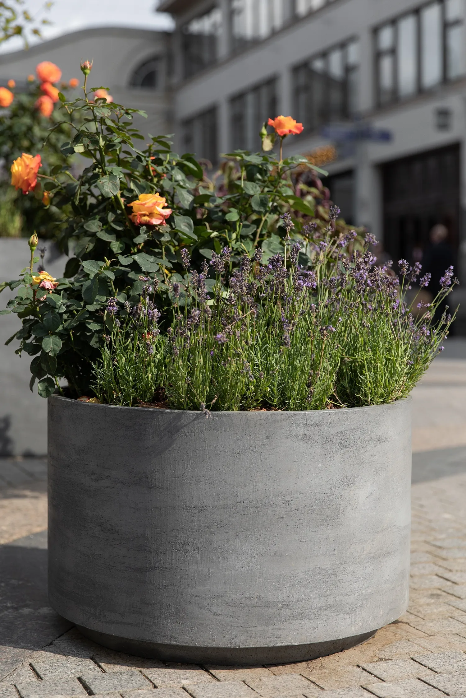 cylinderXL 70x45 smokey blue 2021