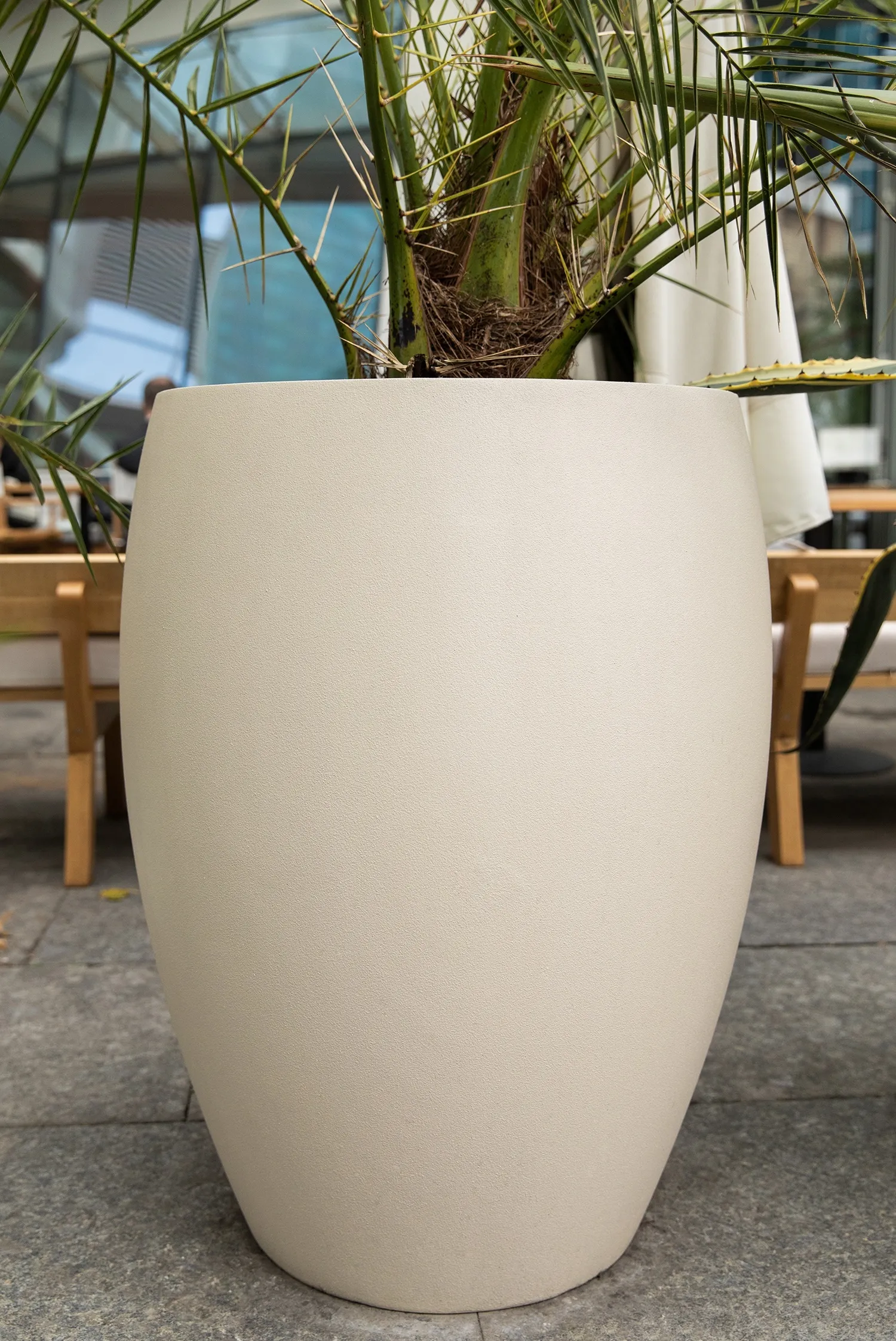 oval 60x88 sahara 2021