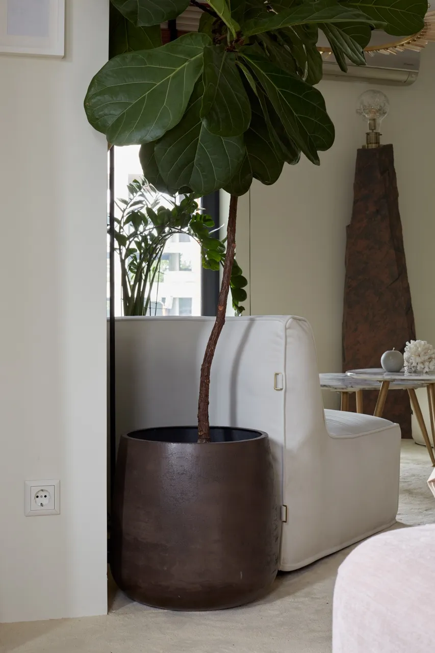 cone 38x41 coffee 2023