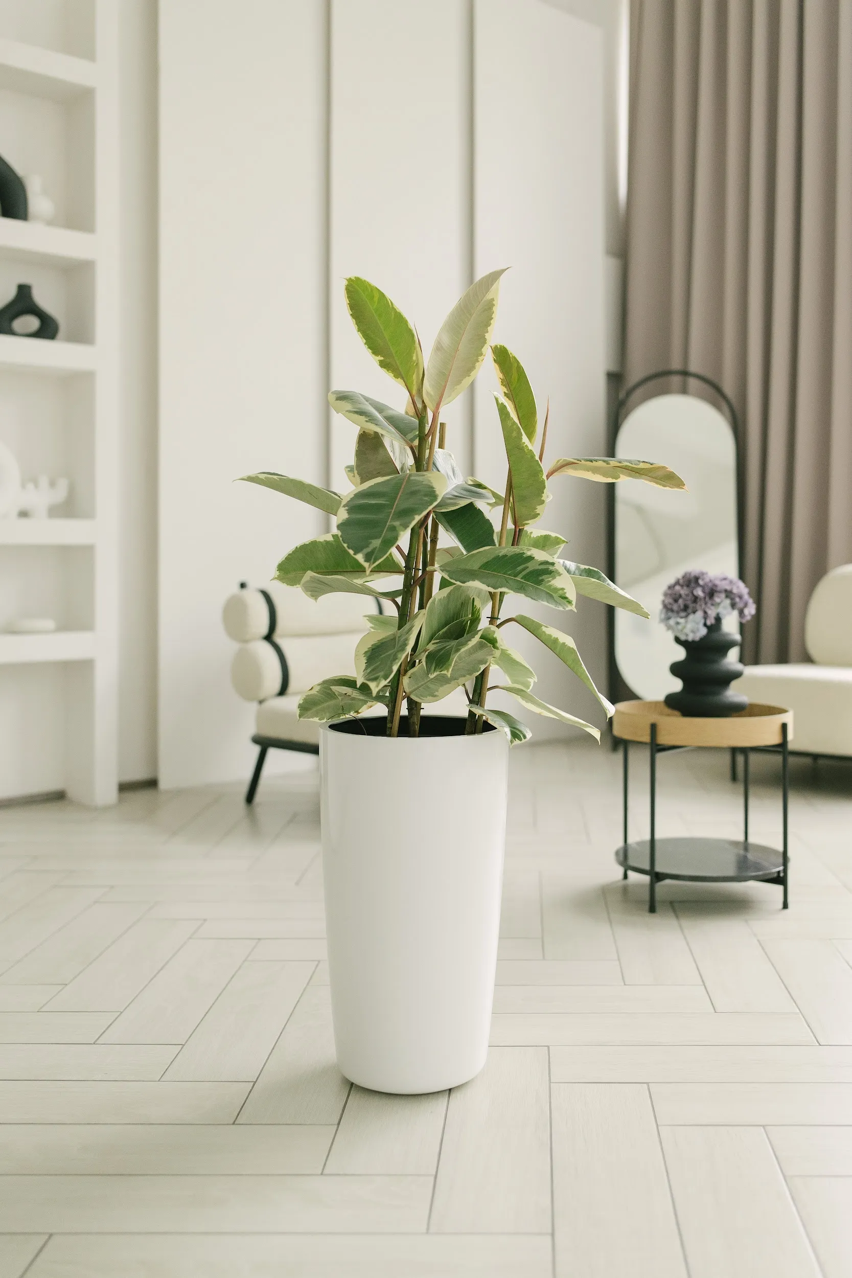 conus 30x55 super white 2023