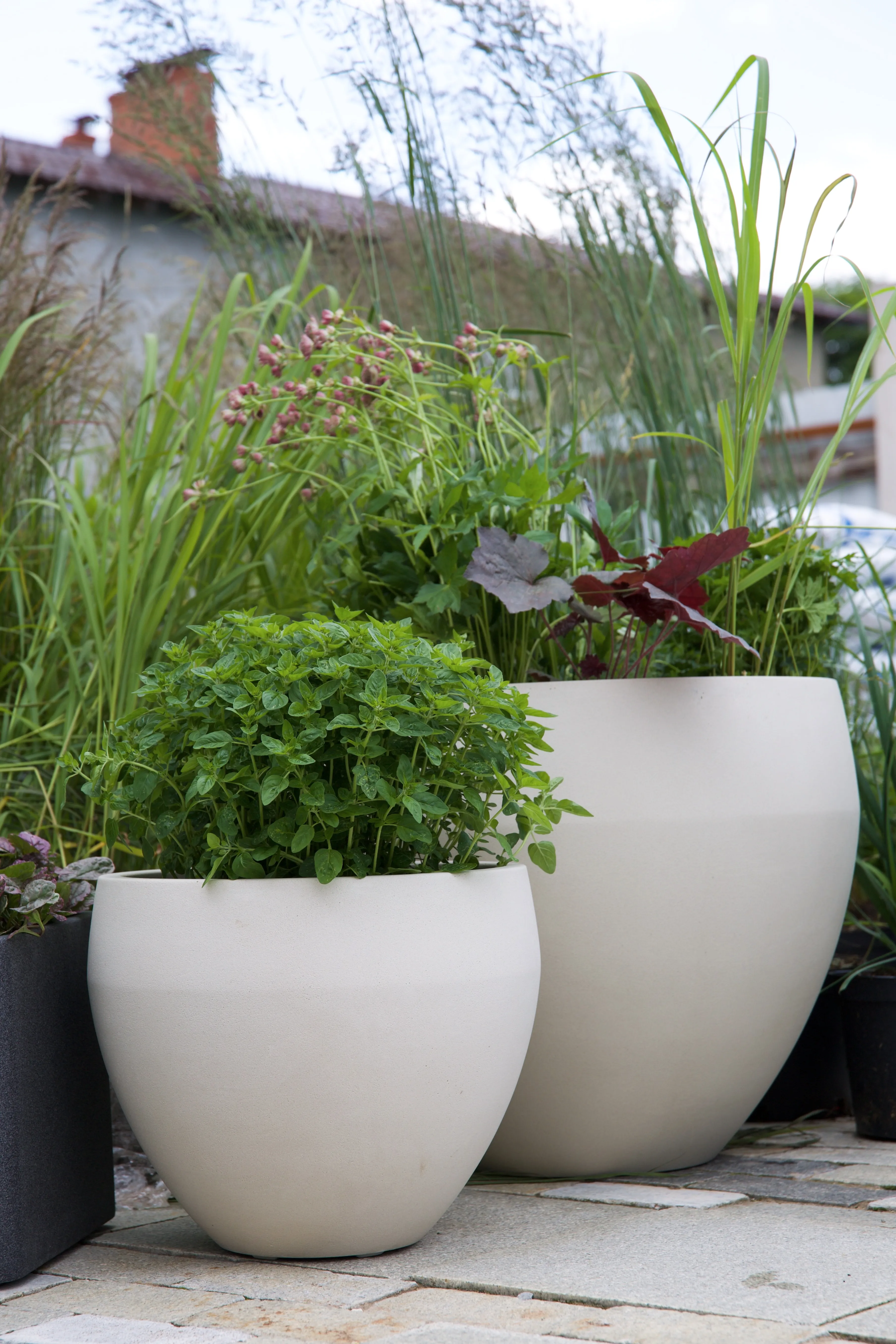 giro 60x51 dune 2025