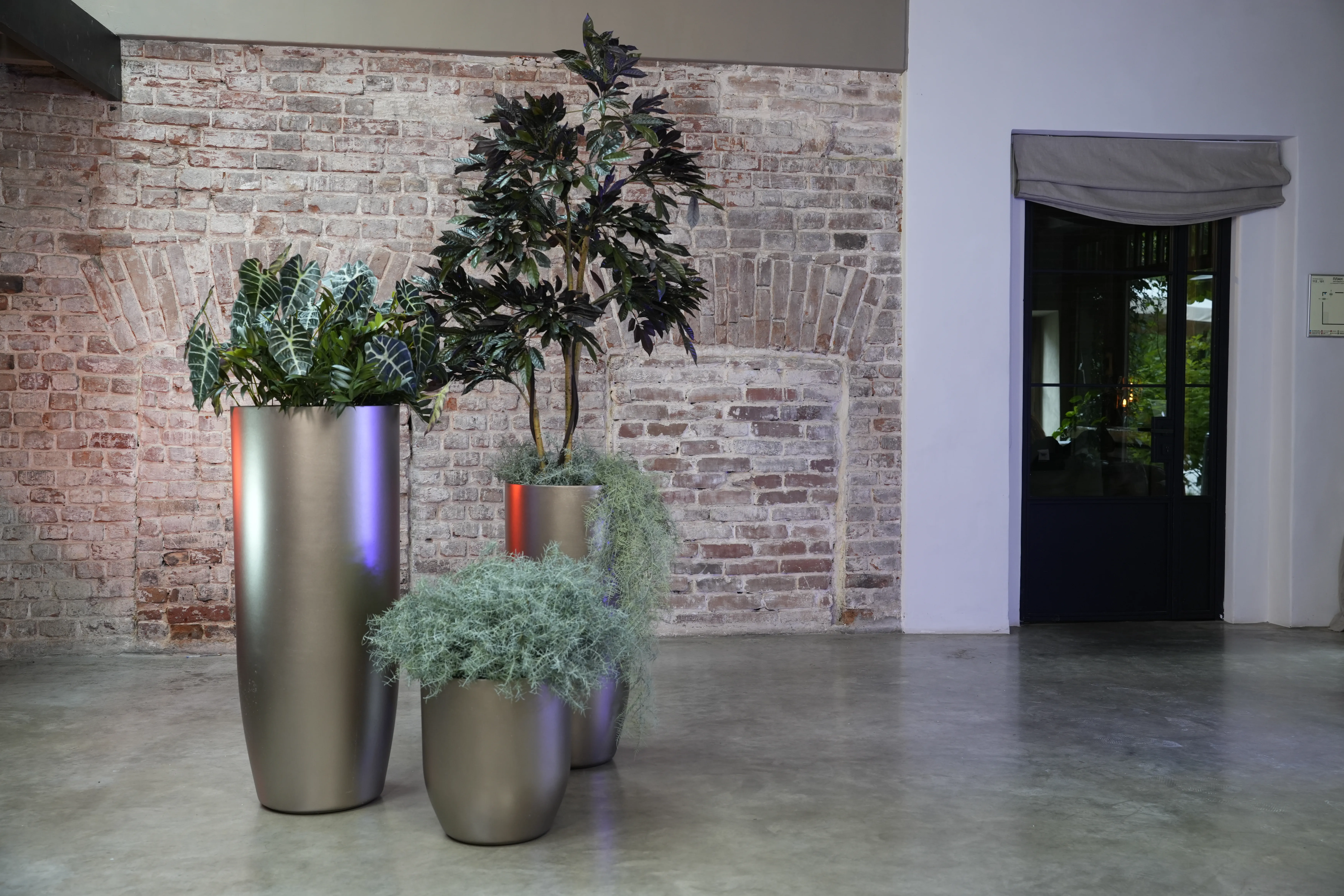 yar 46x110 champagne 2025