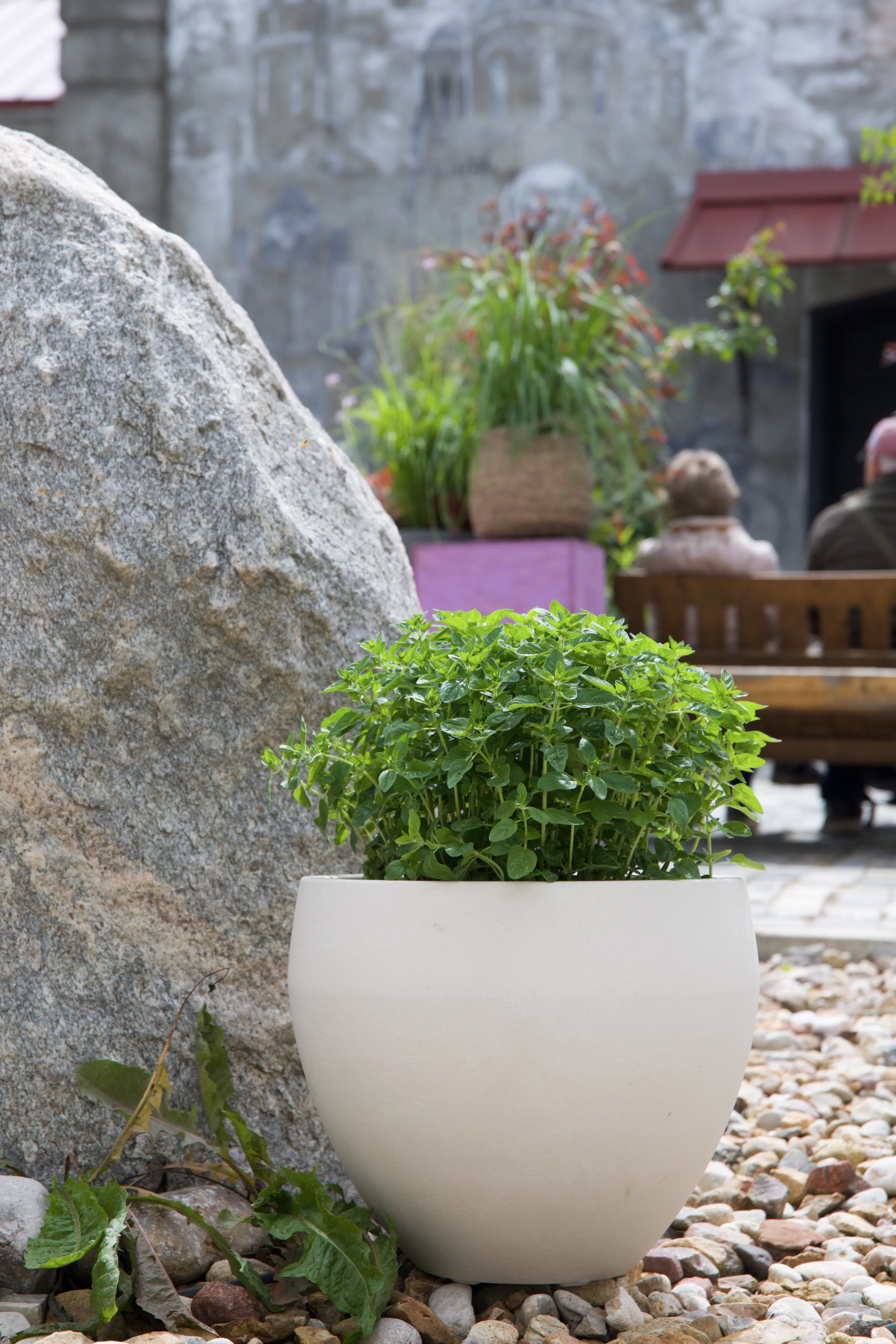 giro 50x43 dune 2025