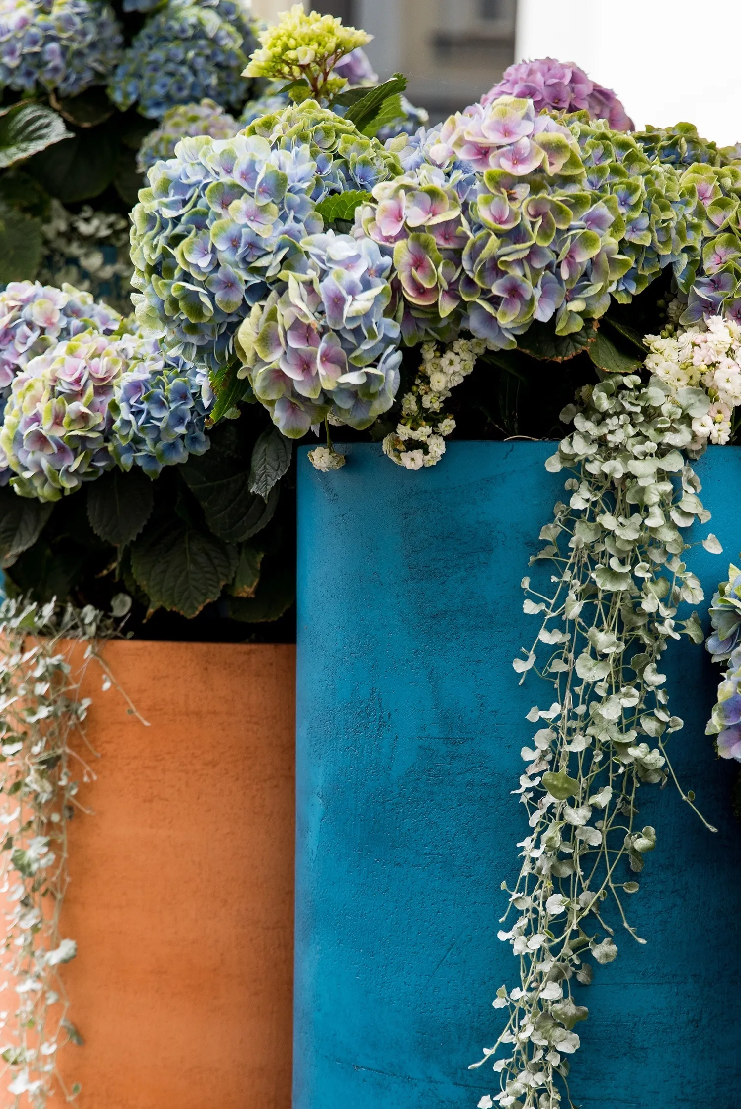 duet 41x104 cobalt blue 2022