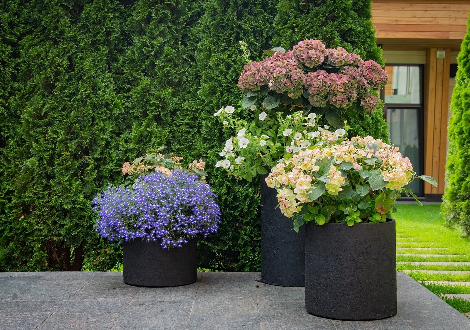 cylinder 30x30 slanets 2019