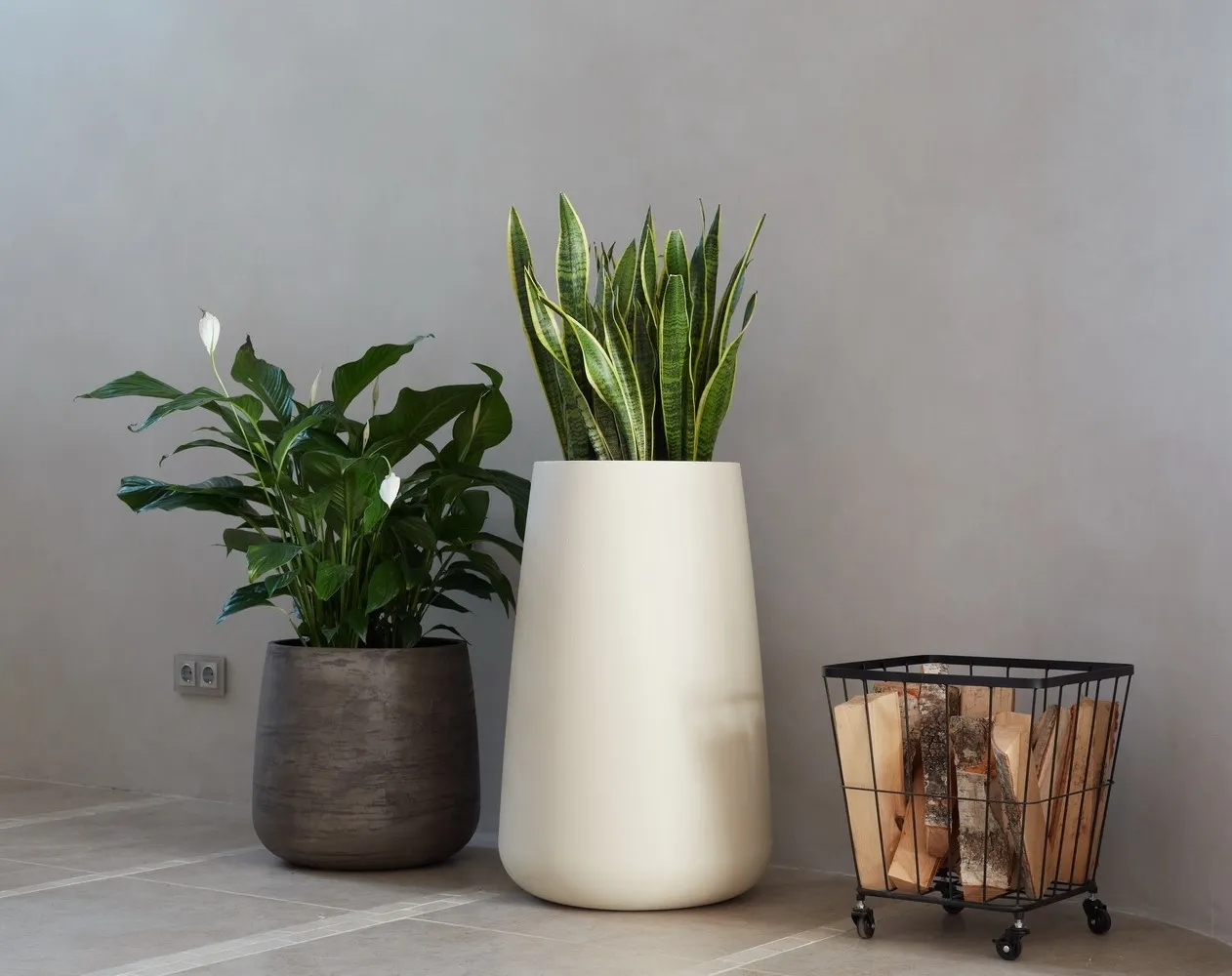 cone 38x60 sahara 2020