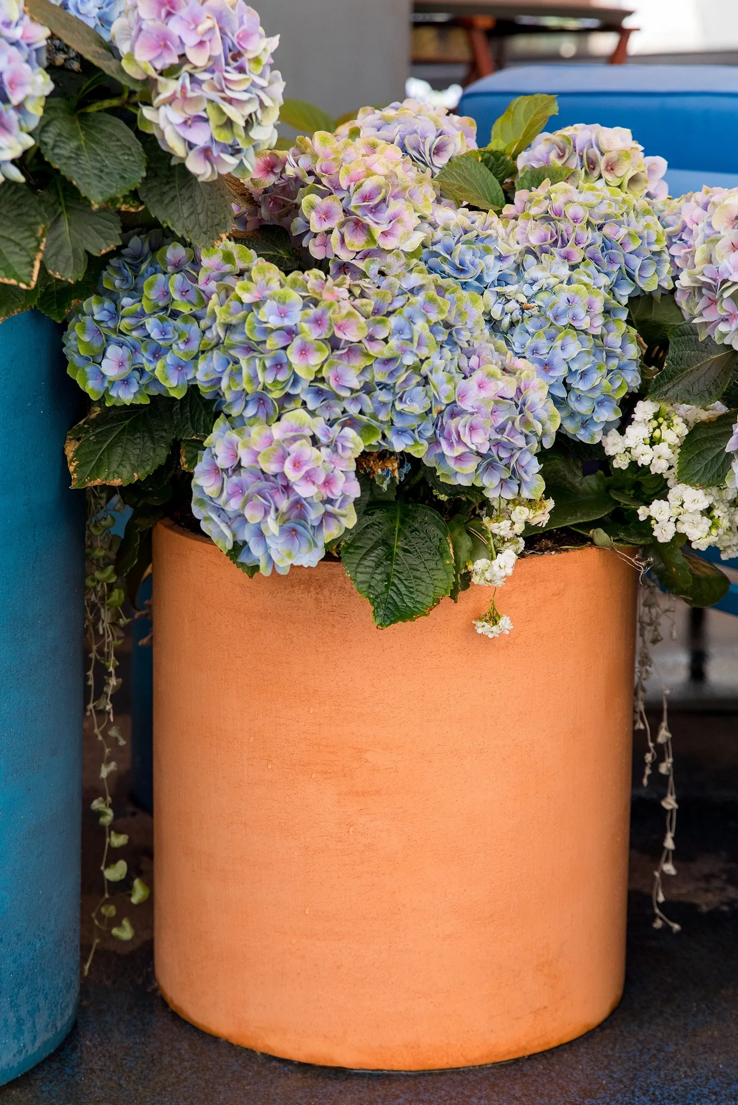 cylinder 45x45 red clay 2022