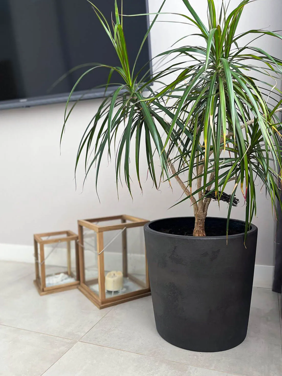 crater 50x40 anthracite 2023