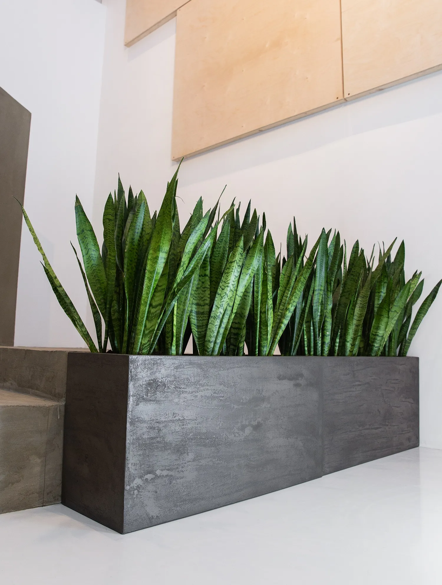 divider 100x40x50 brezent grey 2021