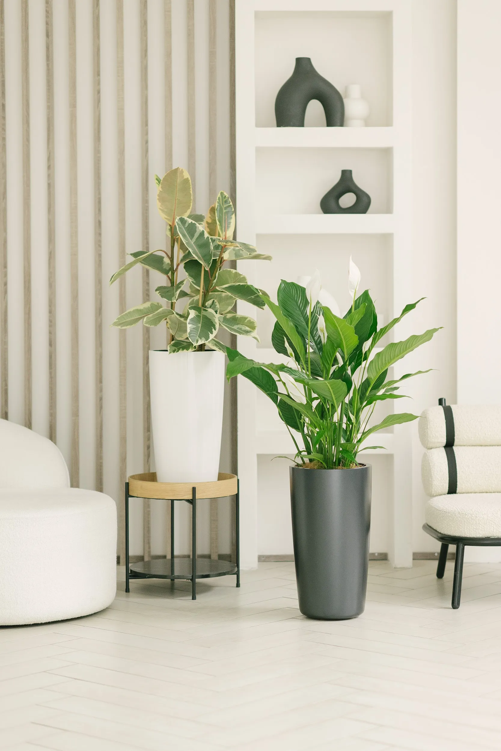 conus 30x55 perfect black 2023