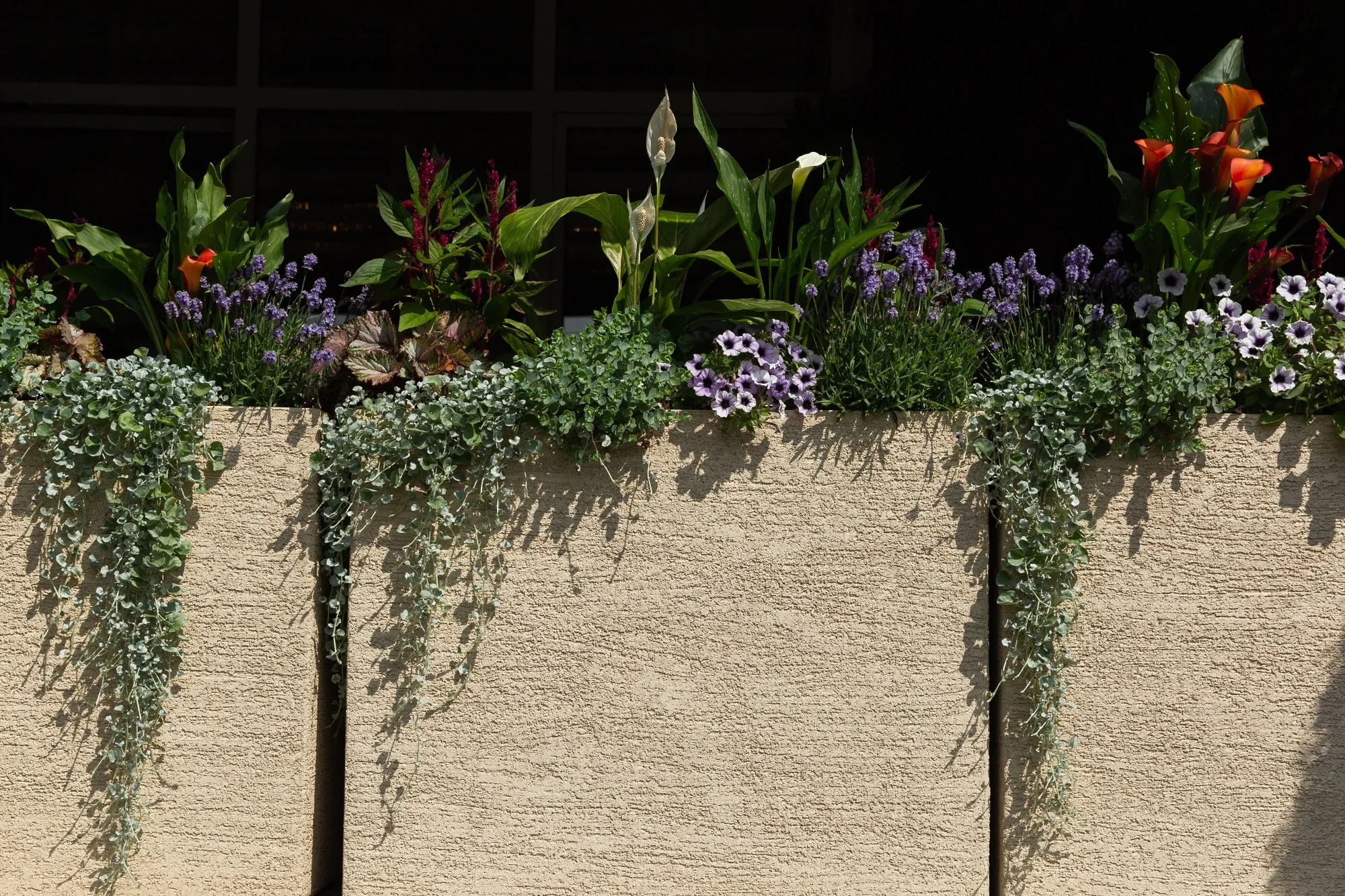 divider 90x35x70 yellow 2021