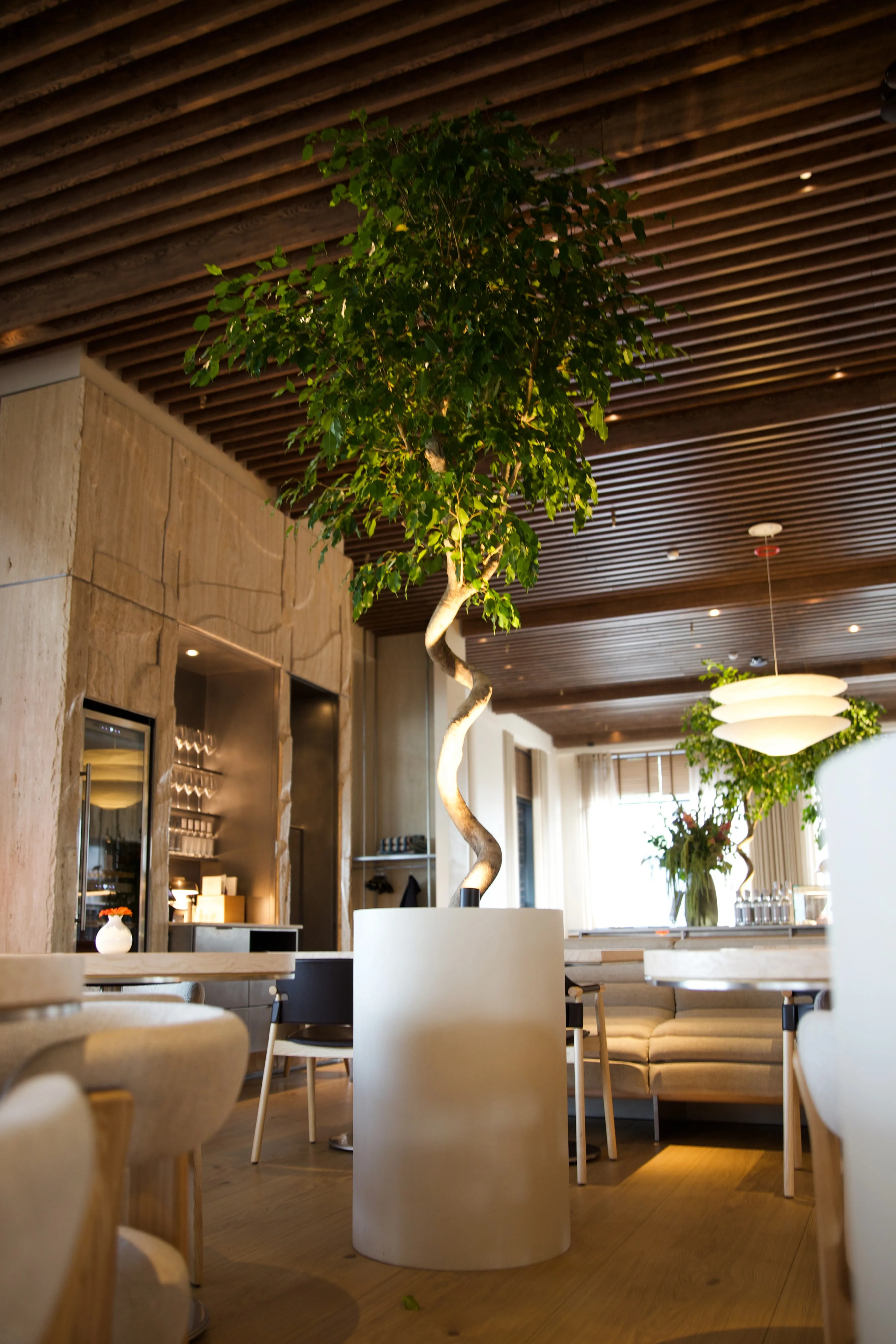 cylinder 50x65 sahara 2025