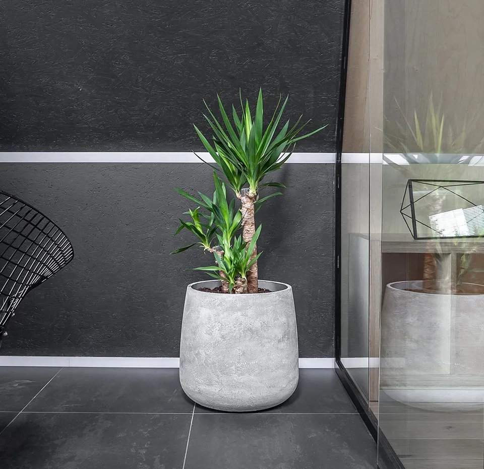 cone 38x41 concrete m100 2020