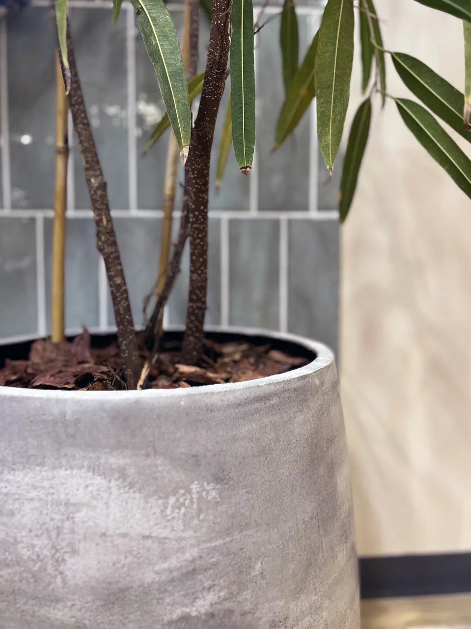 cone 36x75 concrete light grey 2022