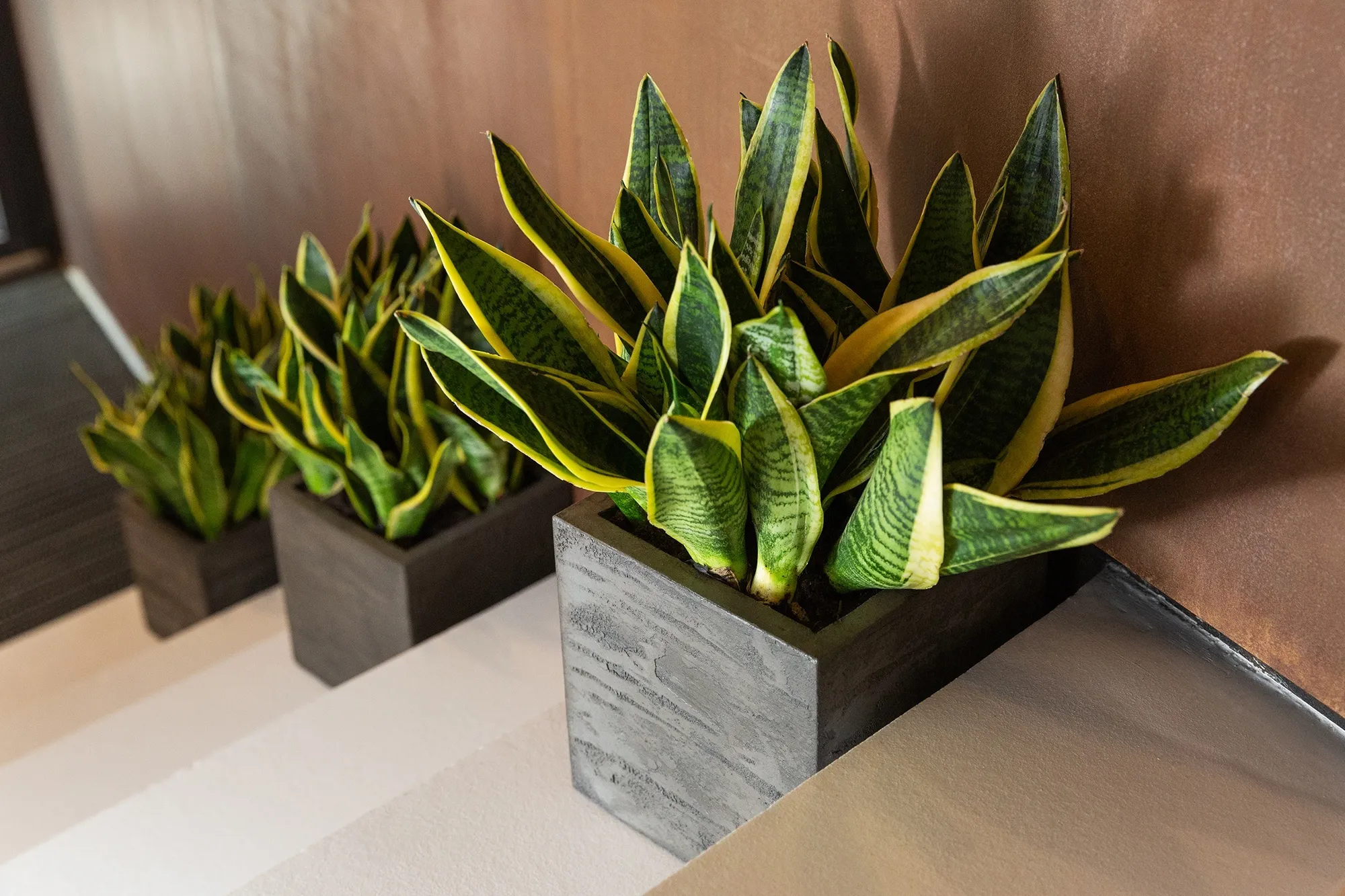 cube 30x30x30 brezent grey 2021