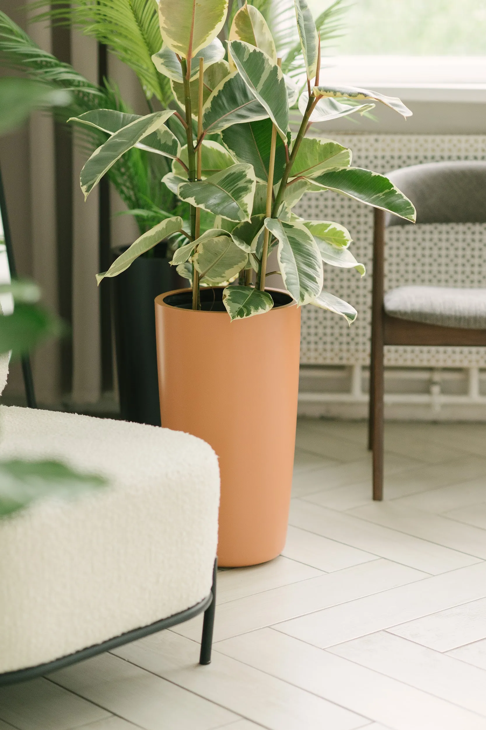 conus 30x55 makeup red 3012 2023