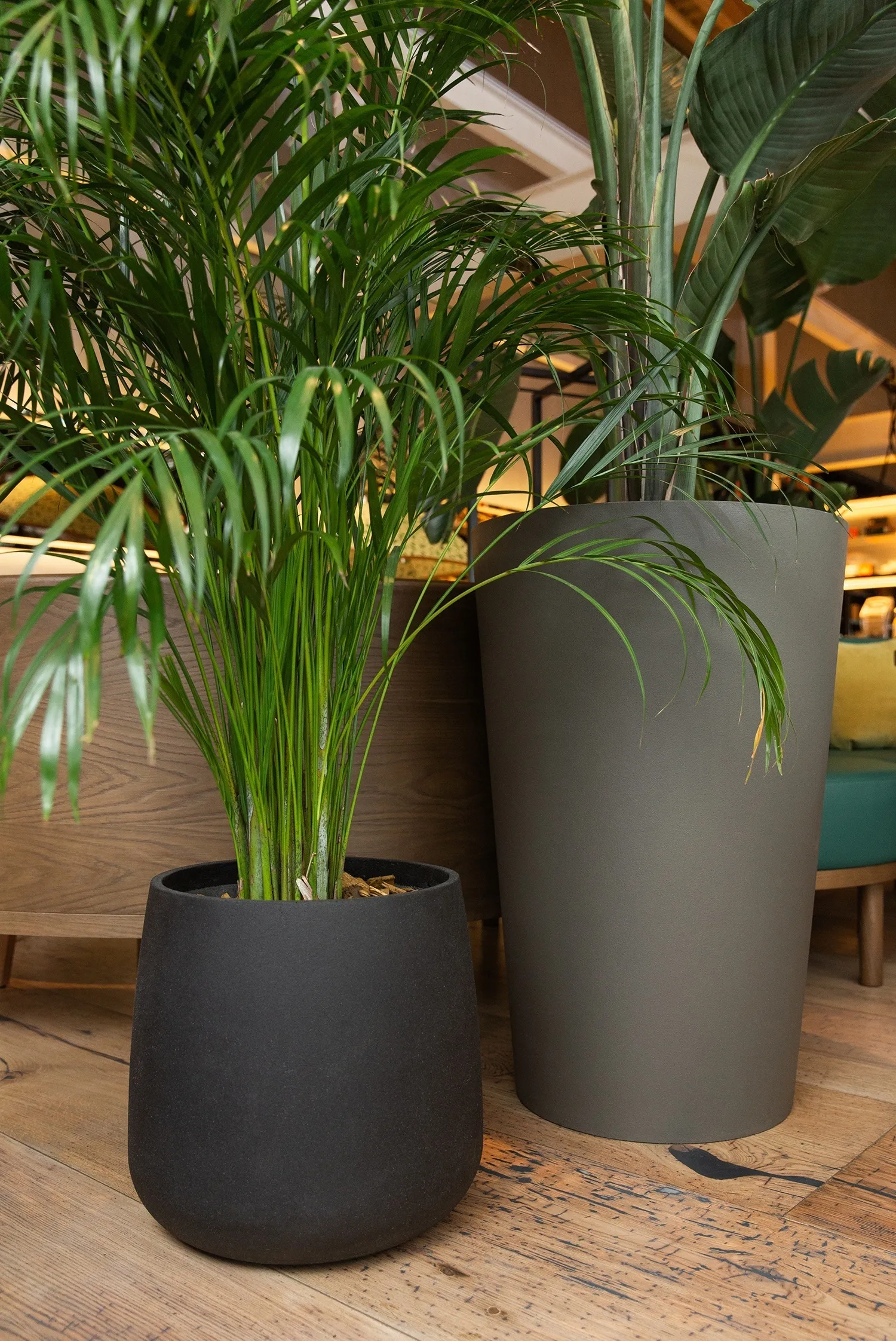 cone 38x41 nero 2021