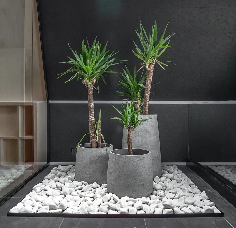 cone 36x75 concrete m100 2020