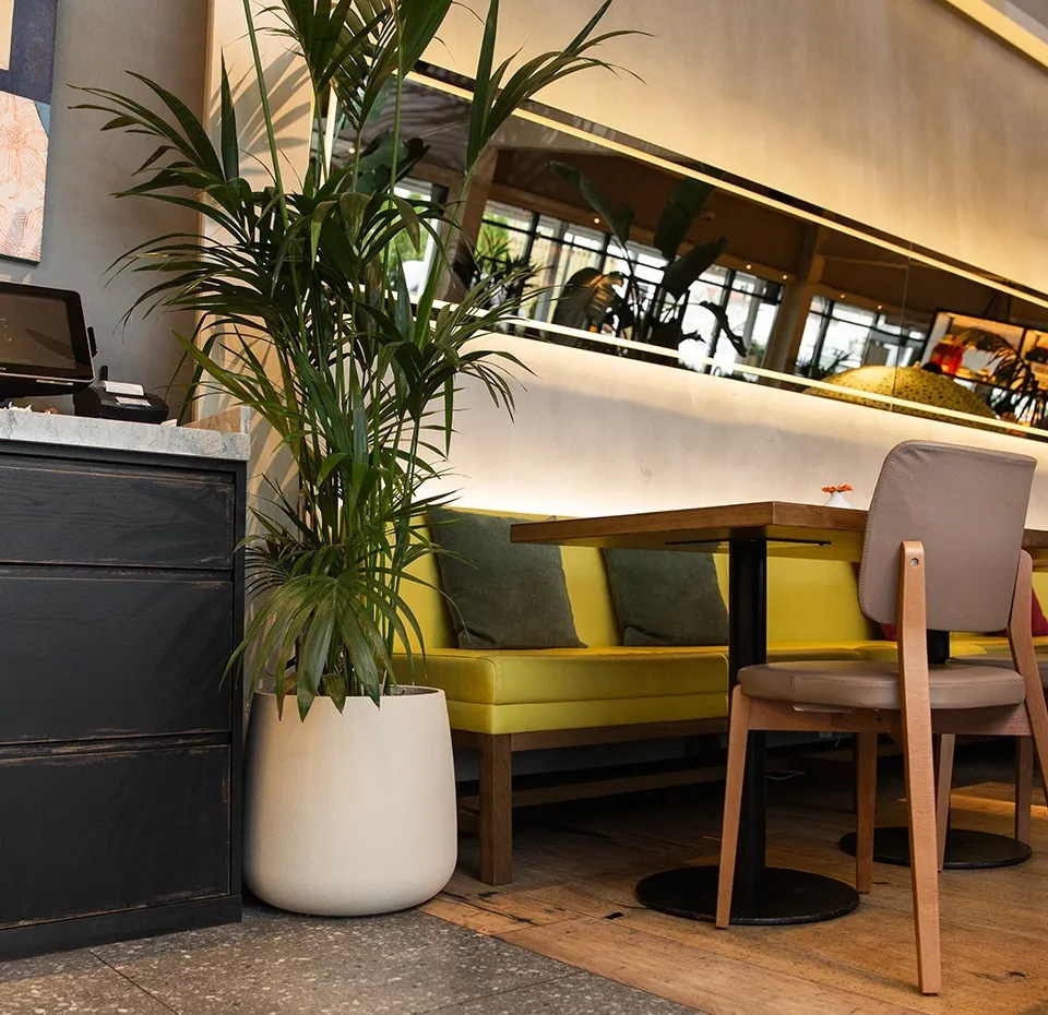 cone 38x41 sahara 2021