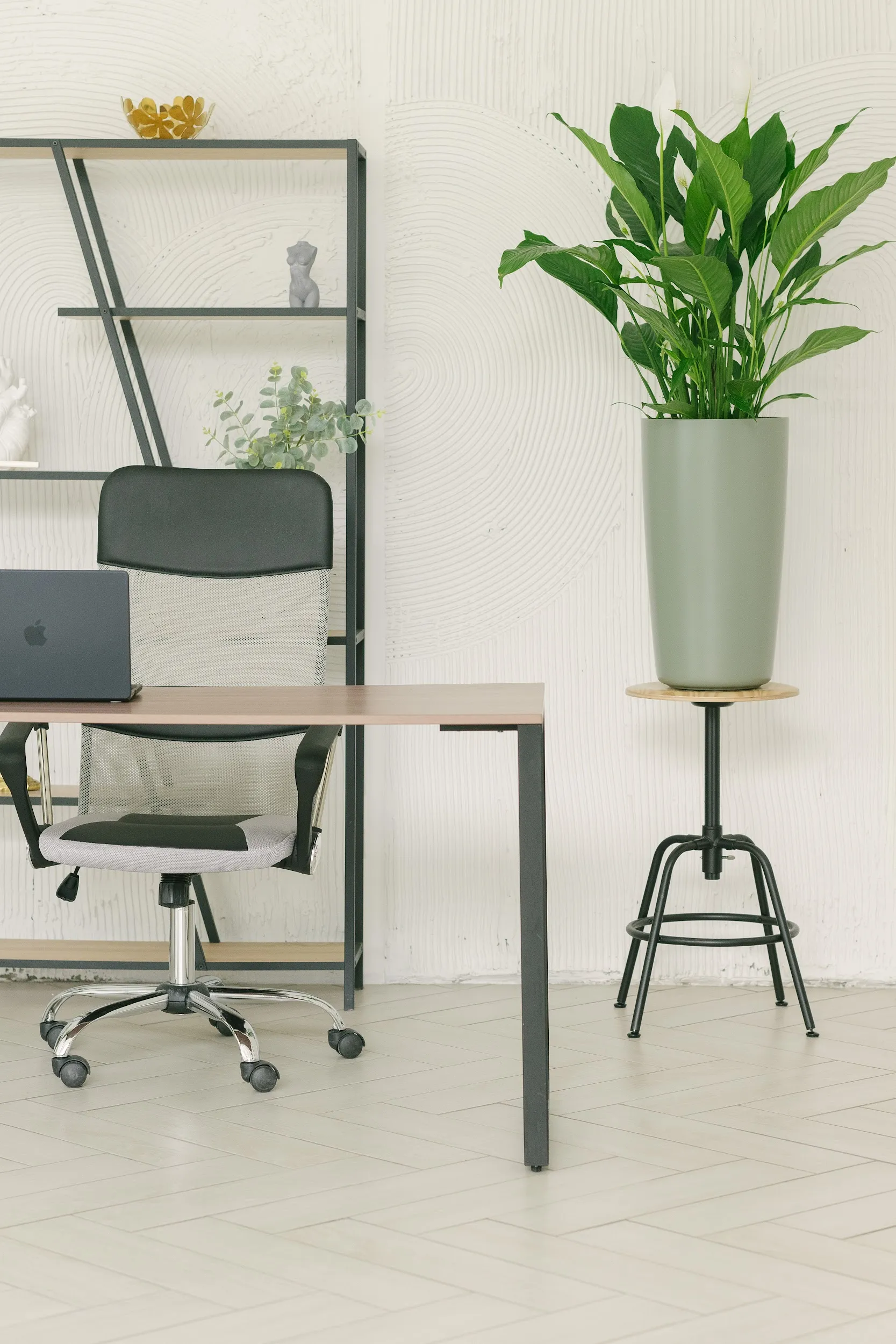 conus 30x55 cement grey 7033 2023