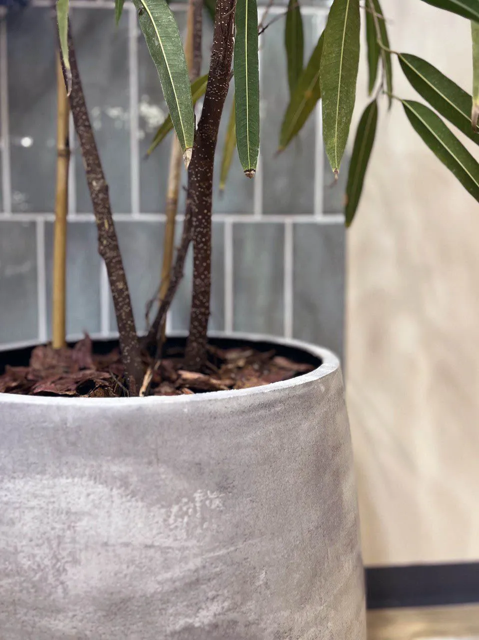 Cone concrete light grey