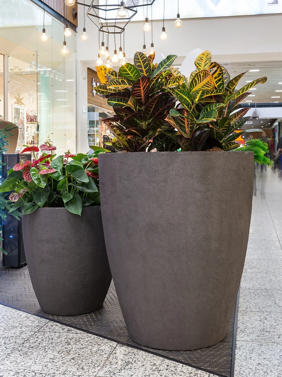 conus 50x90 anthracite 2019