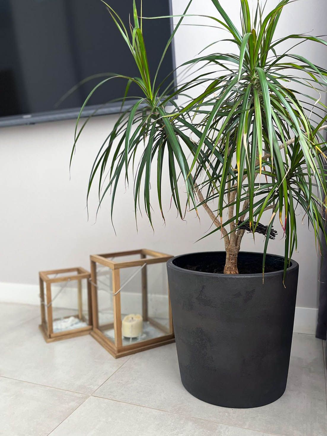 crater 50x40 anthracite 2023