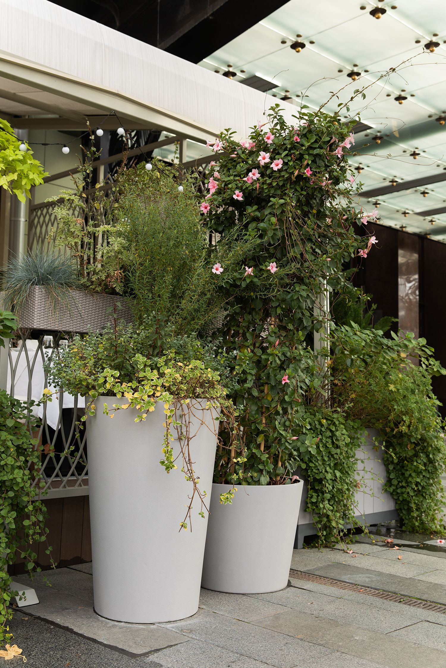 crater 50x40 shale 2021