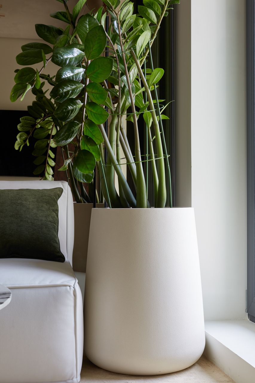 cone 38x60 santorini 2023