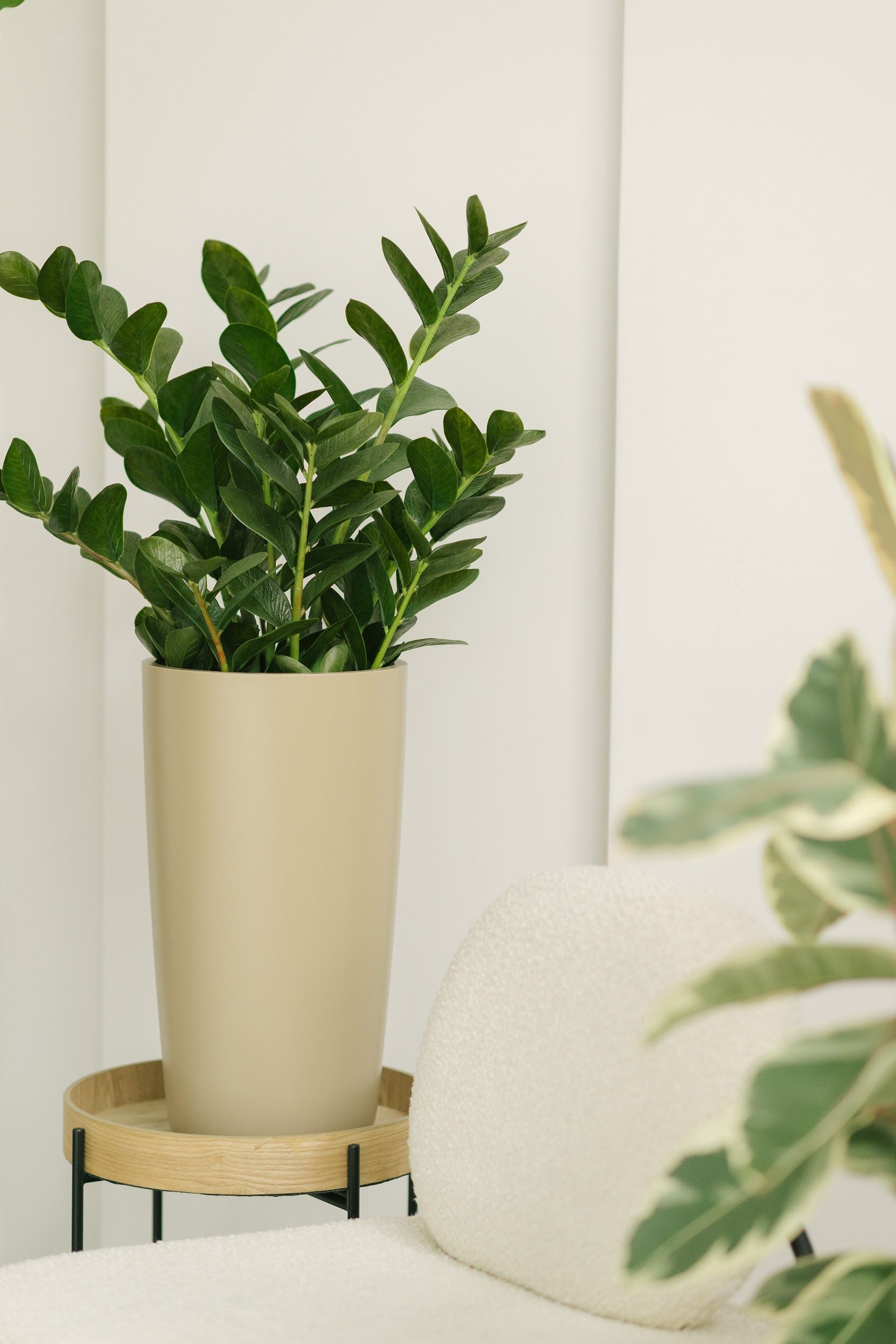 conus 30x55 taupe grey 1019 2023