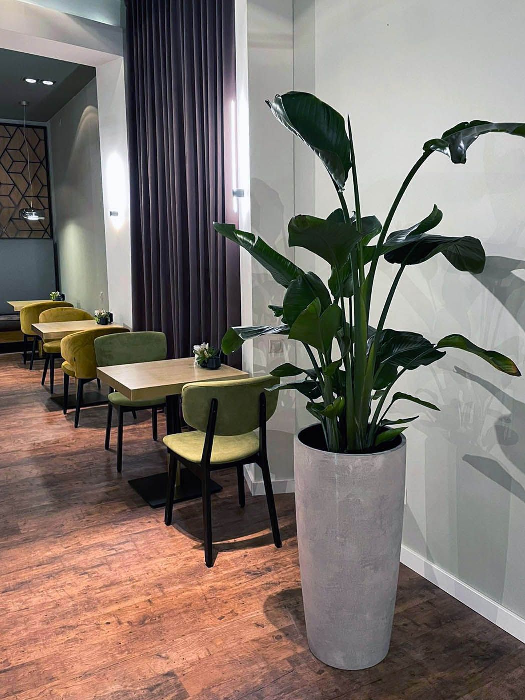 conus 40x80 concrete white 2022