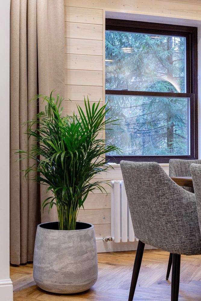 cone 38x41 concrete light grey 2023