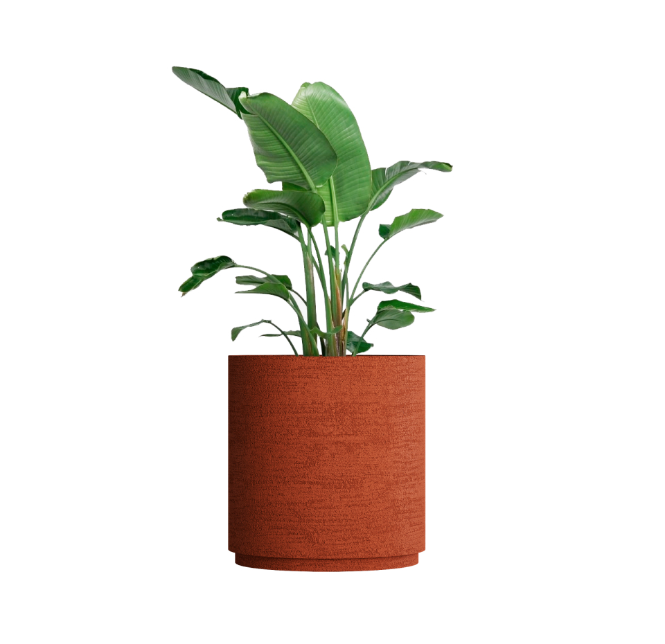 Кашпо CONCRETIKA CYLINDER XL EROSIA CORAL D80H85 заказать и купить с доставкой из магазина производителя Конкретика по цене 67 590 руб.