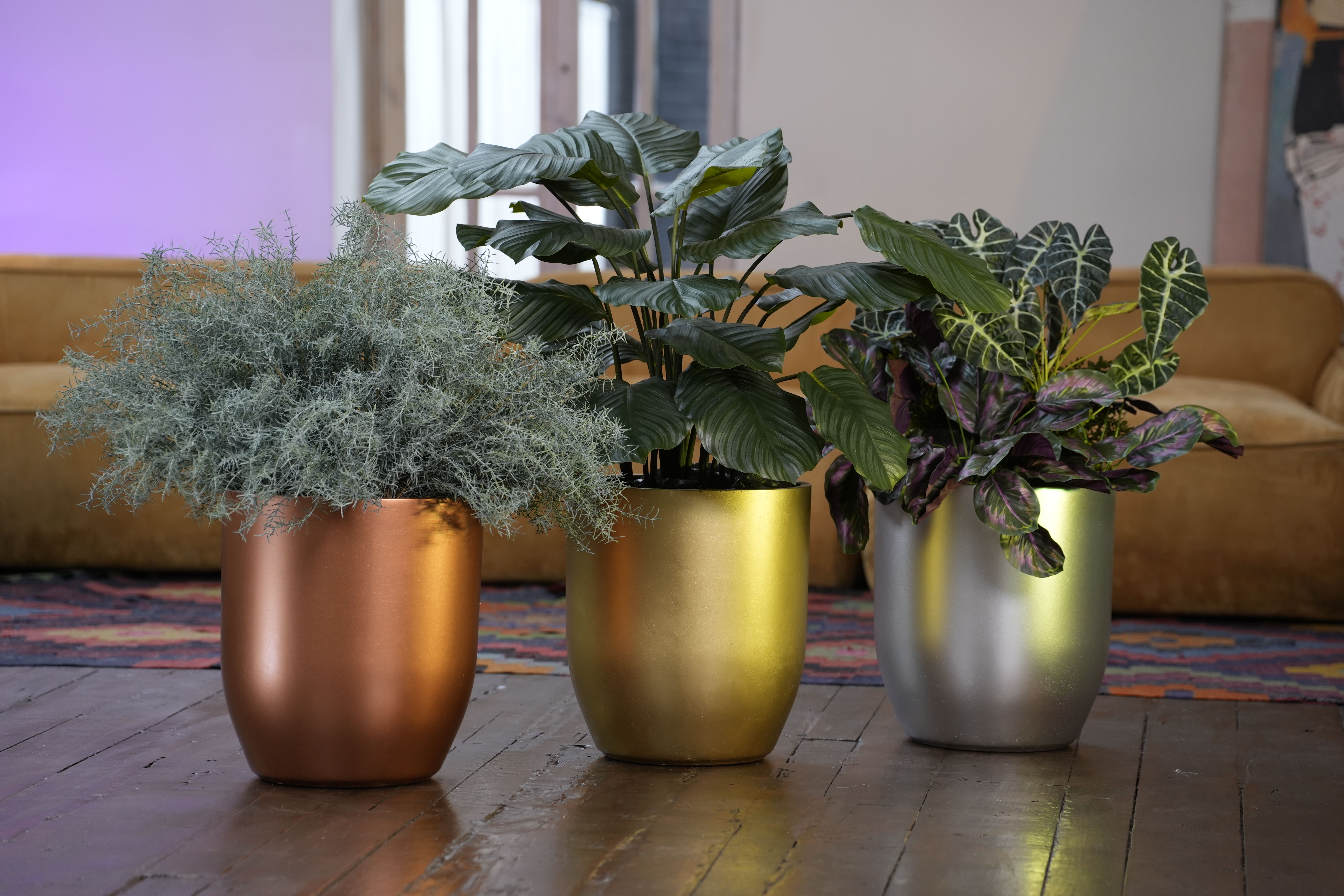 yar 40x44 golden 2025