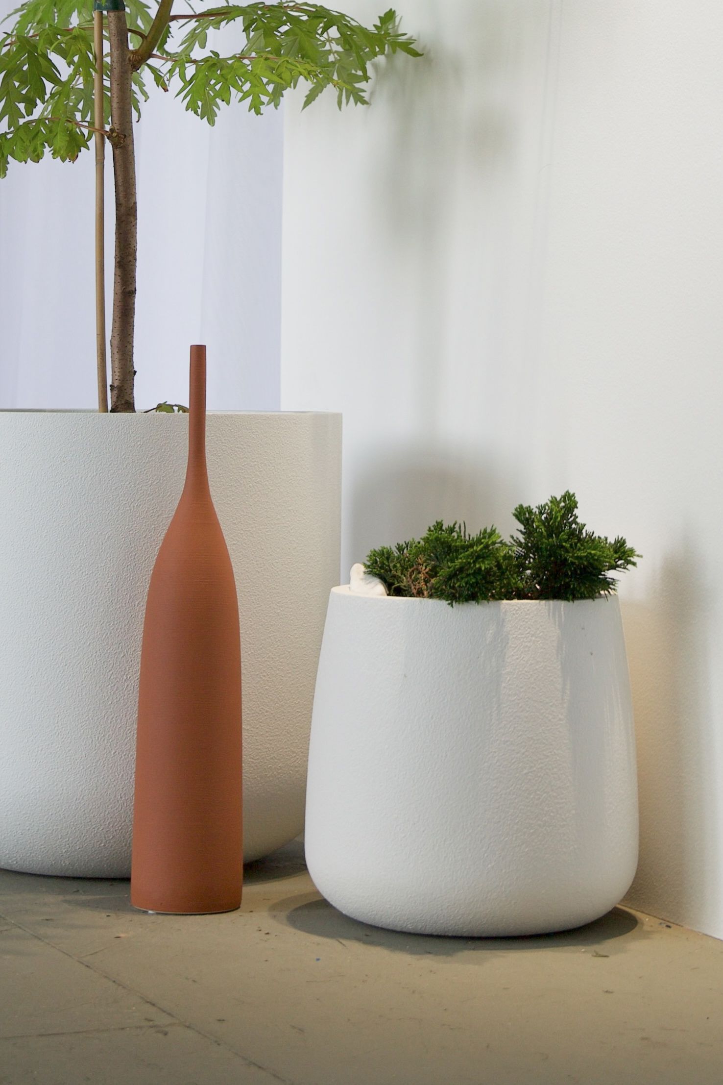 cone 32x36 sahara 2025