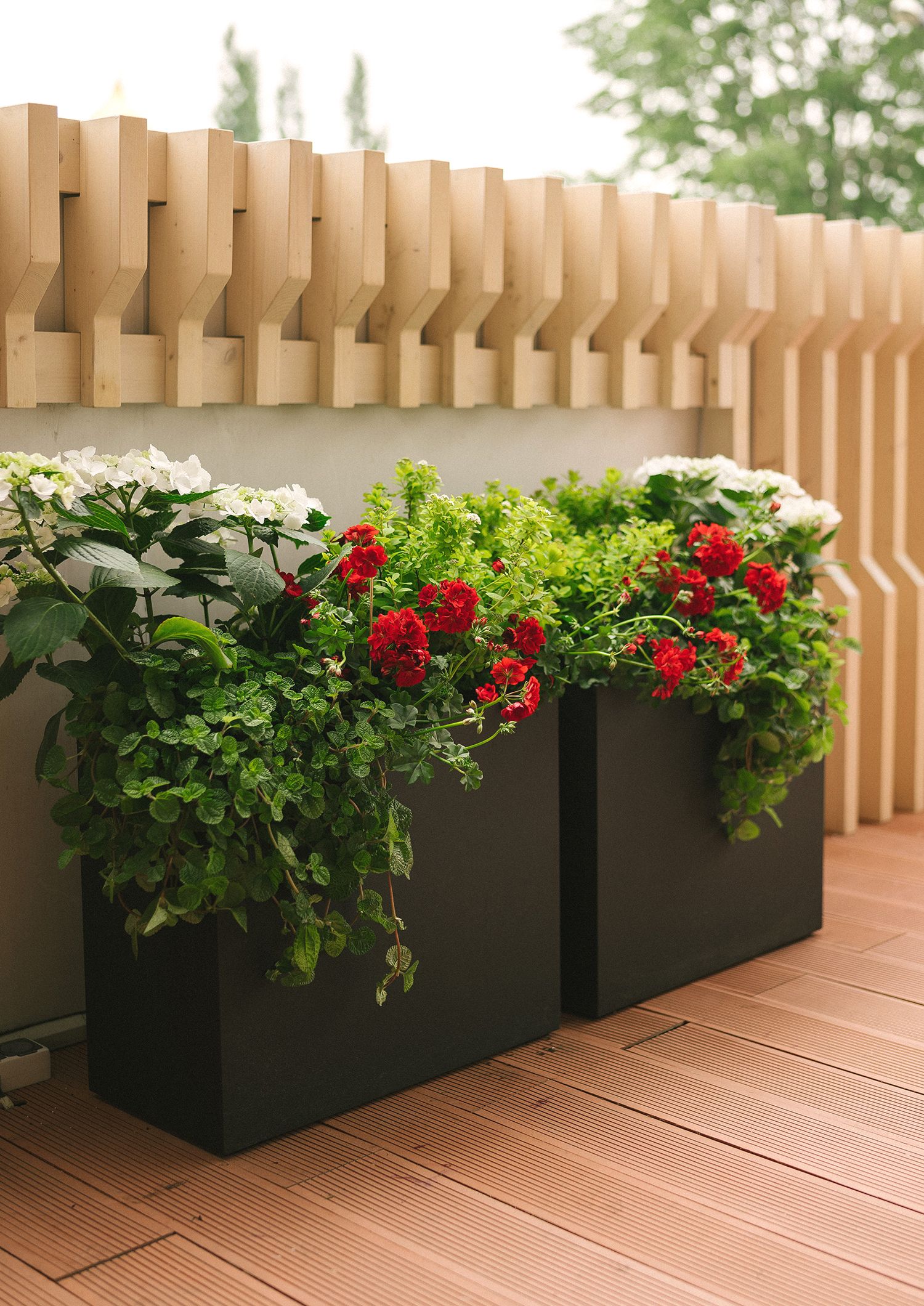 divider 60x30x50 olive 2023