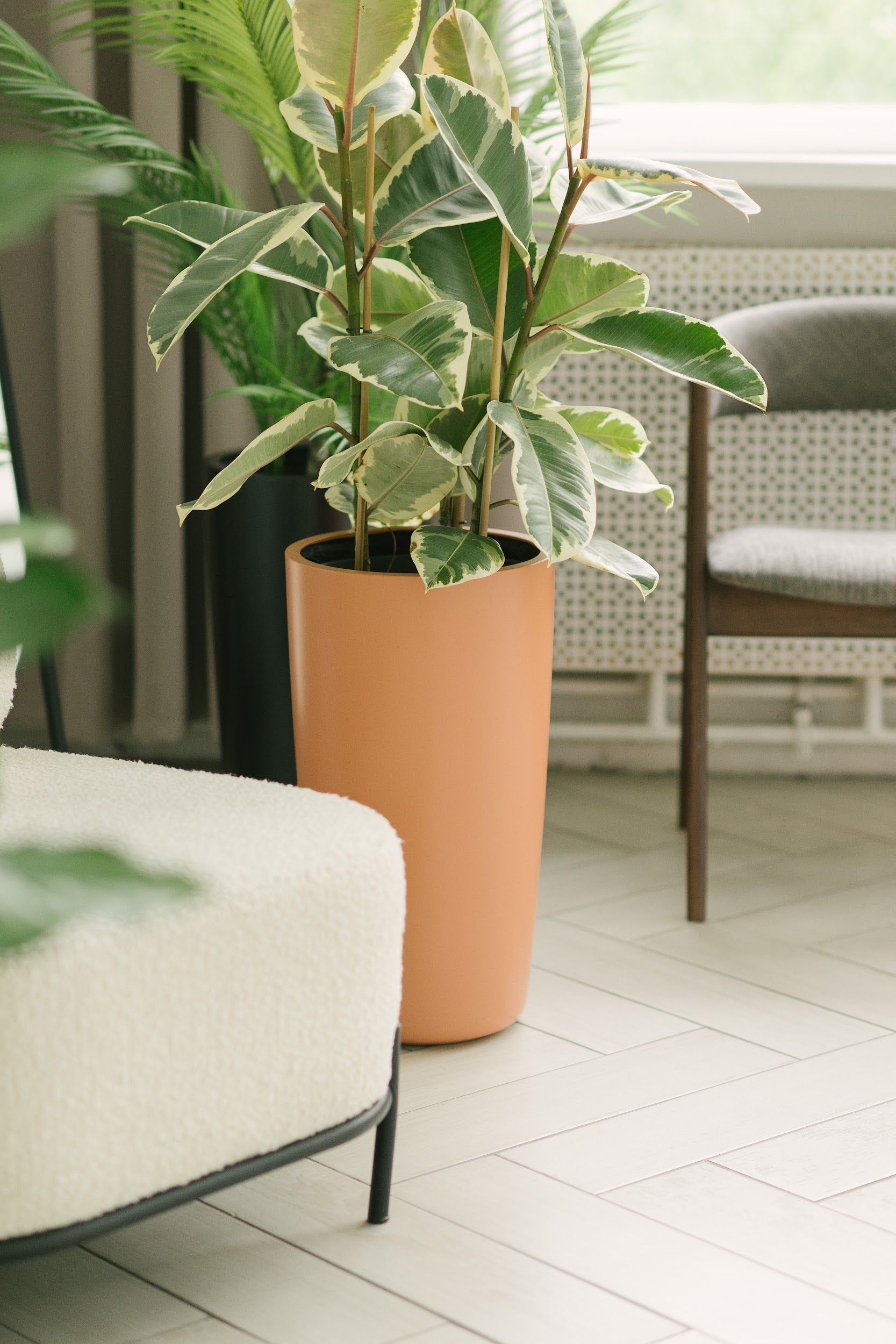 conus 30x55 makeup red 3012 2023