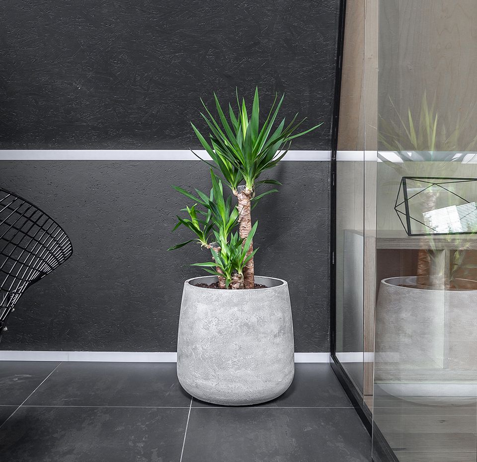 cone 38x41 concrete m100 2020