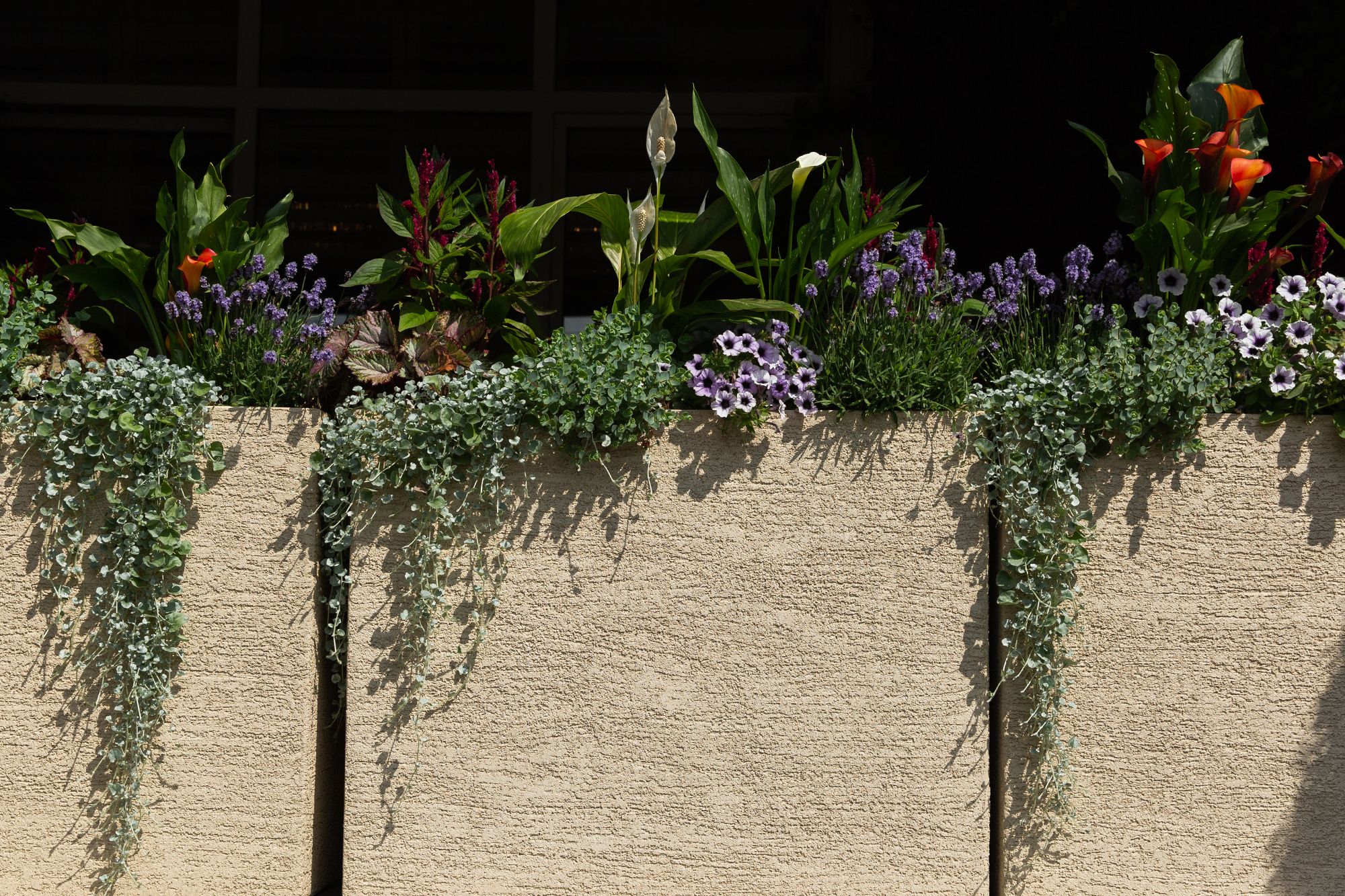 divider 90x35x70 yellow 2021