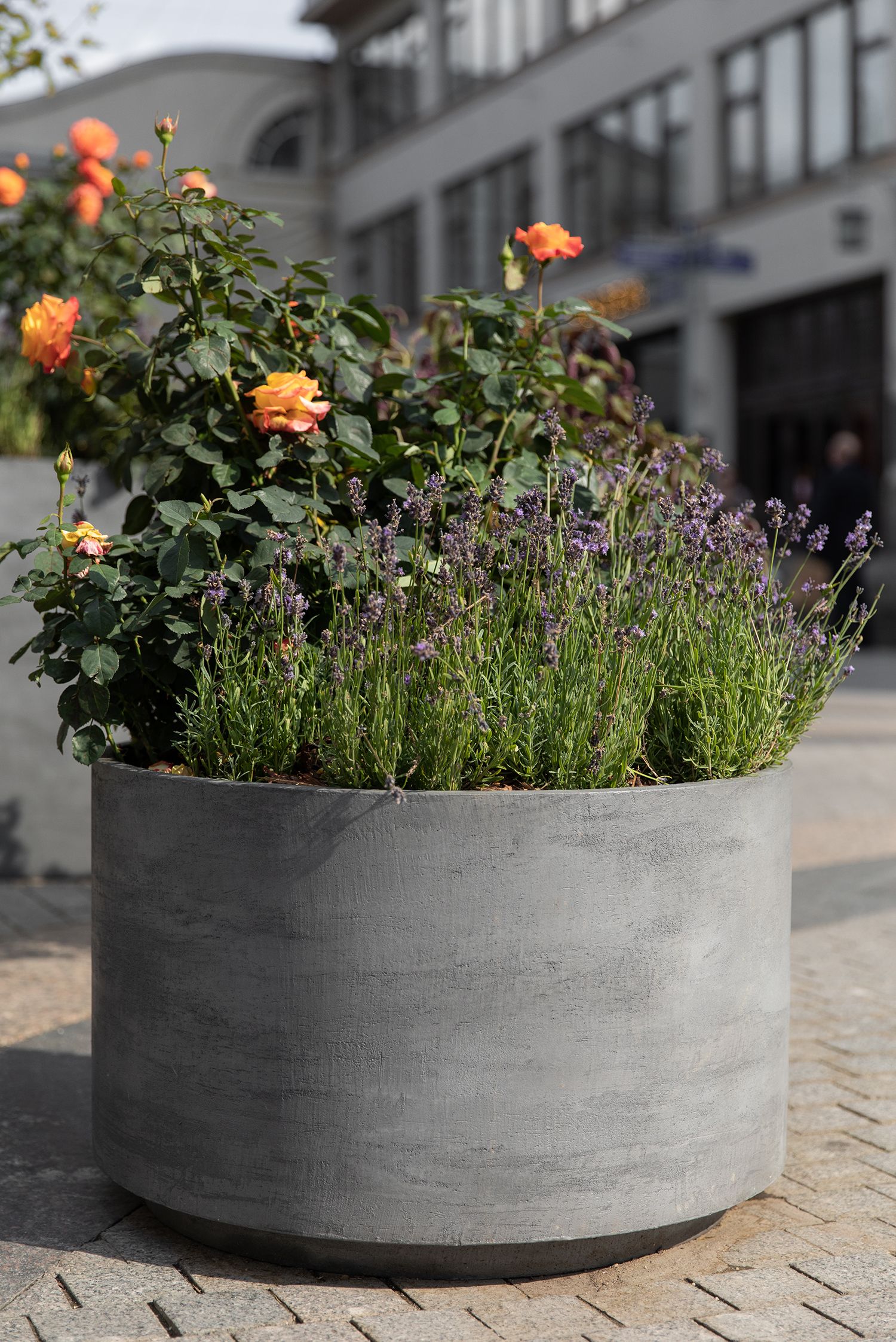 cylinderXL 70x45 smokey blue 2021