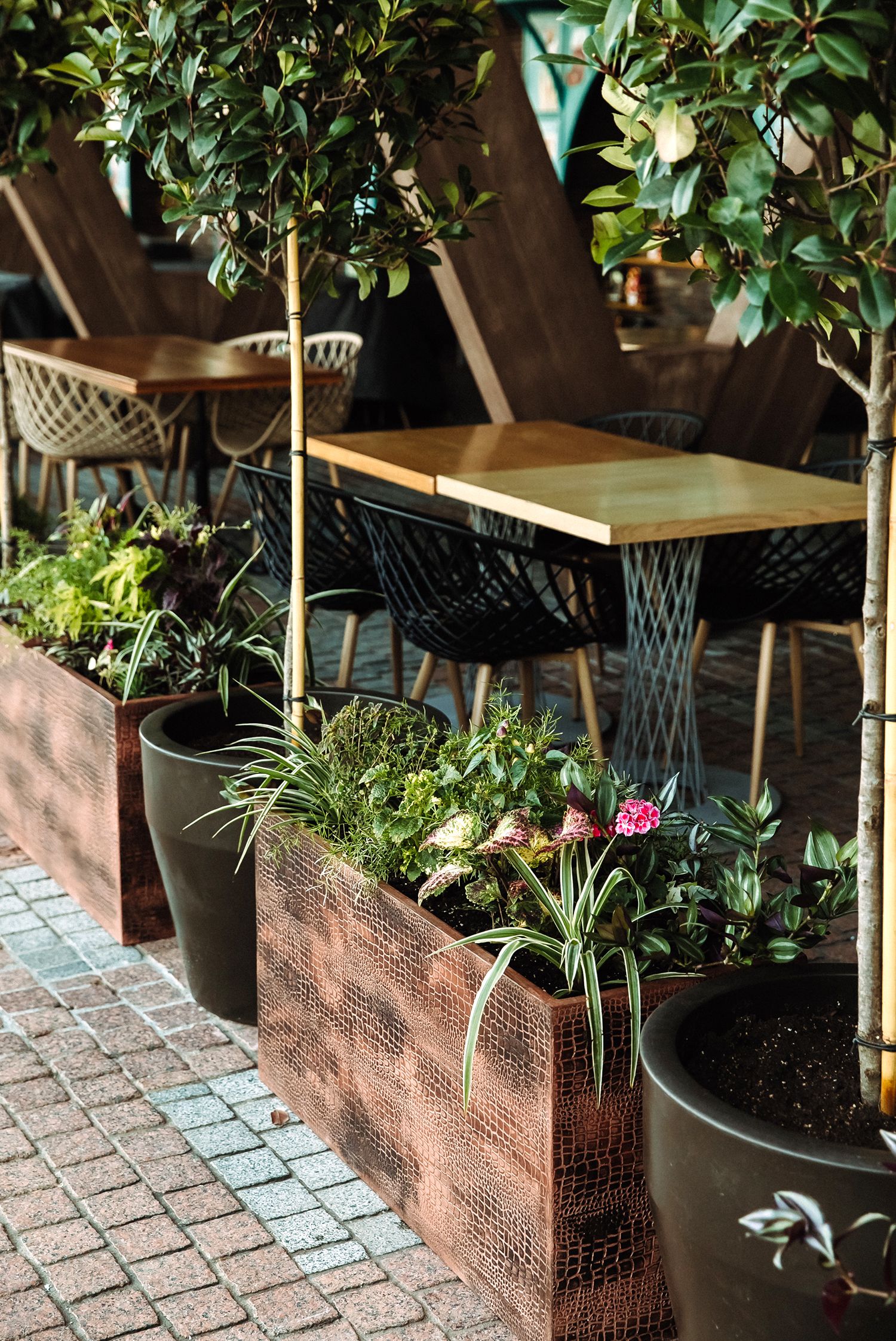 divider 100x40x50 cayman brown 2021