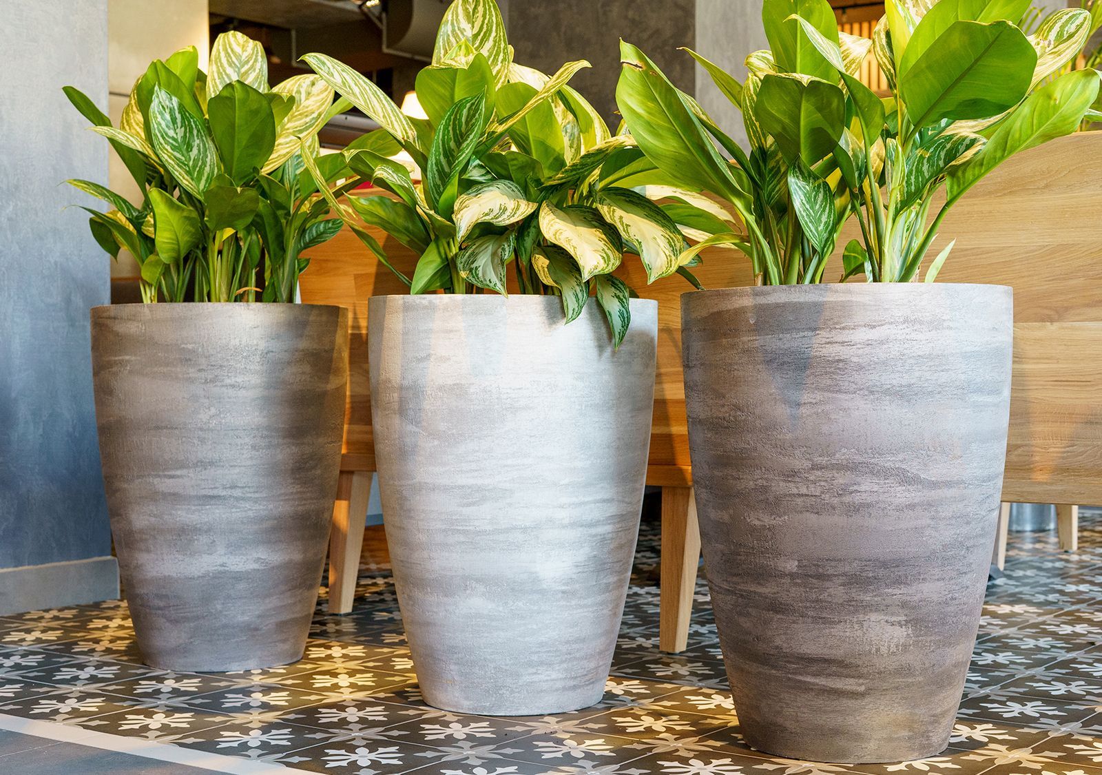 conus 50x69 concrete dark grey 2021